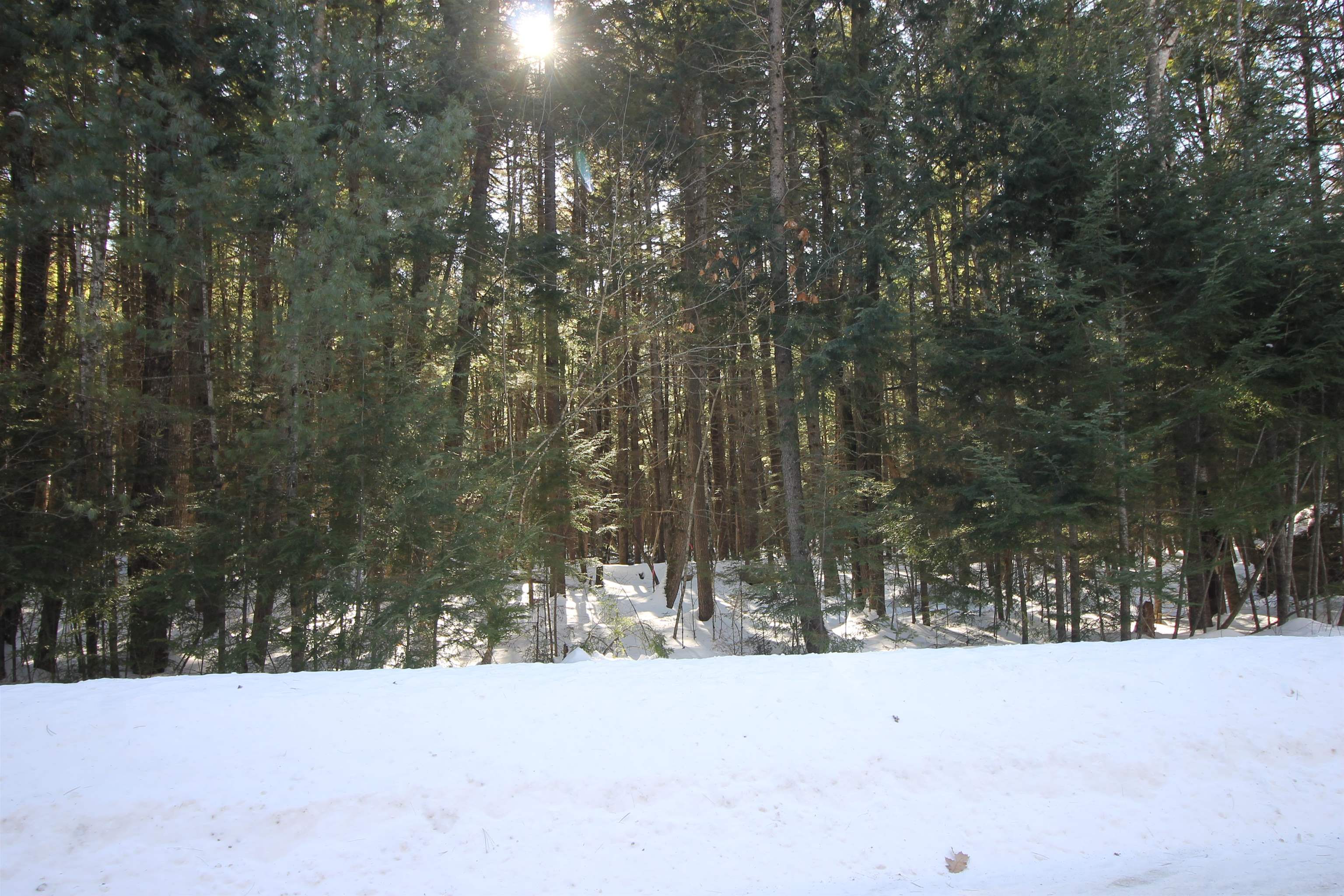 00 Covered Bridge Road Property Photo 7