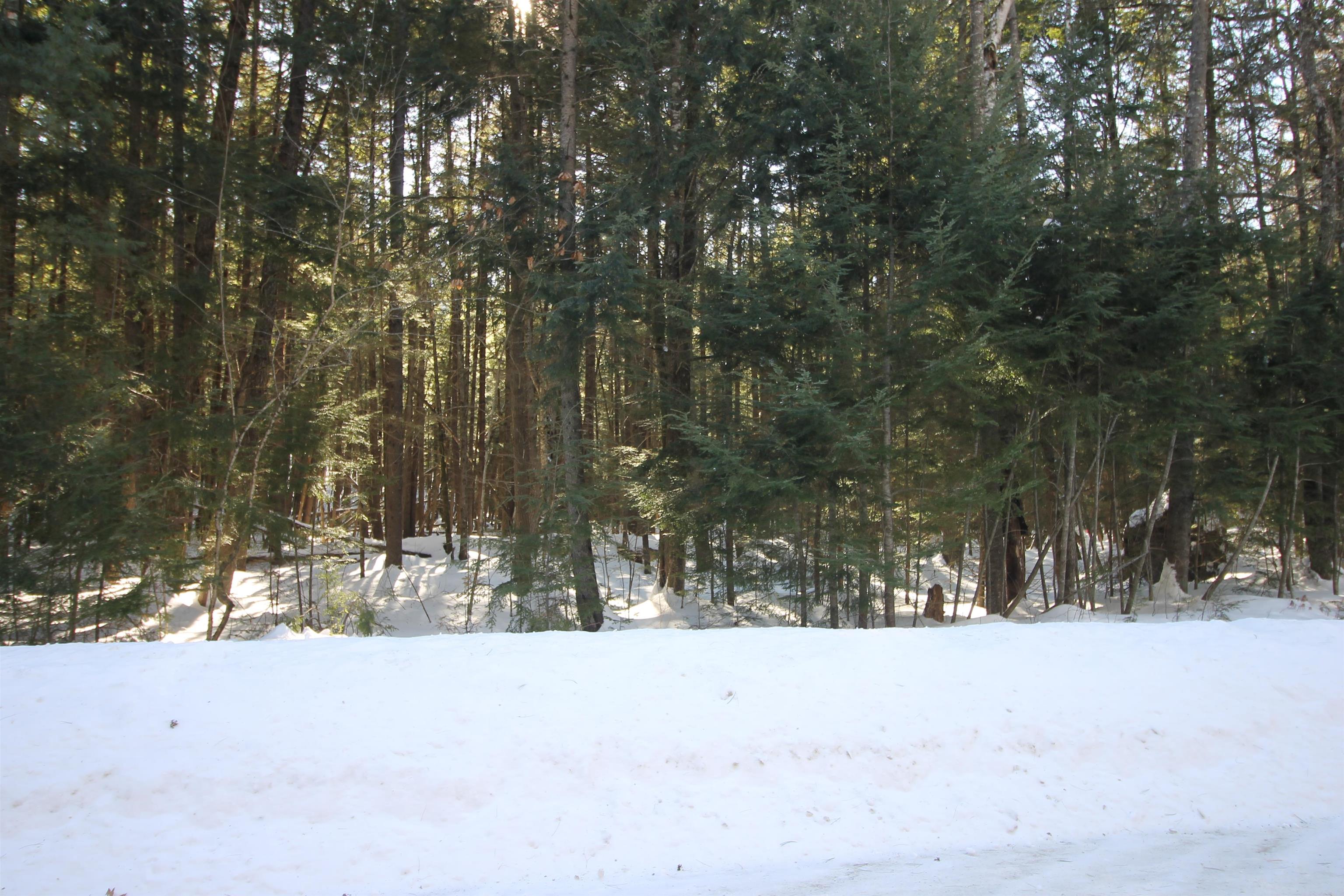00 Covered Bridge Road Property Photo 9