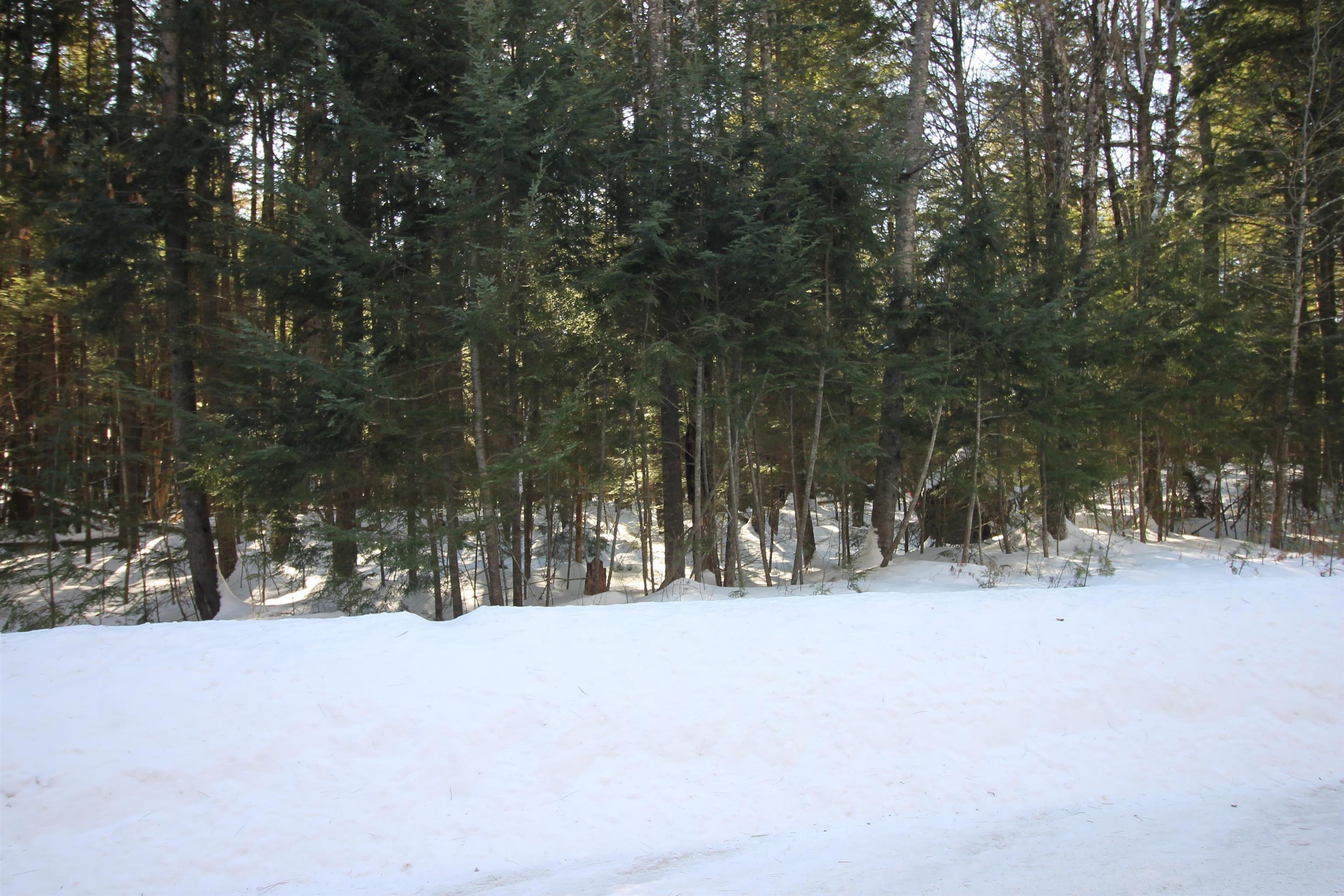 00 Covered Bridge Road Property Photo 10