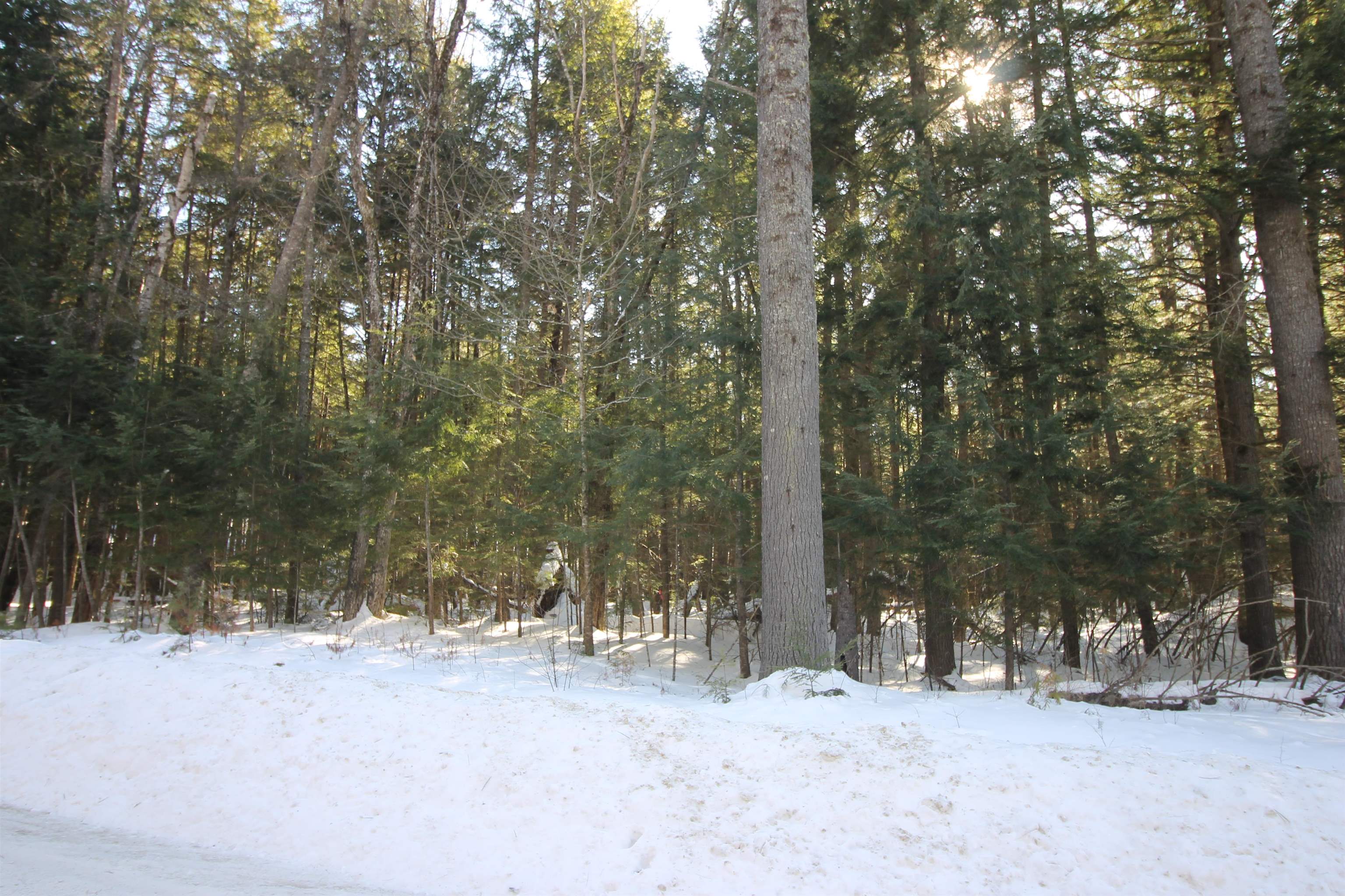 00 Covered Bridge Road Property Photo 13