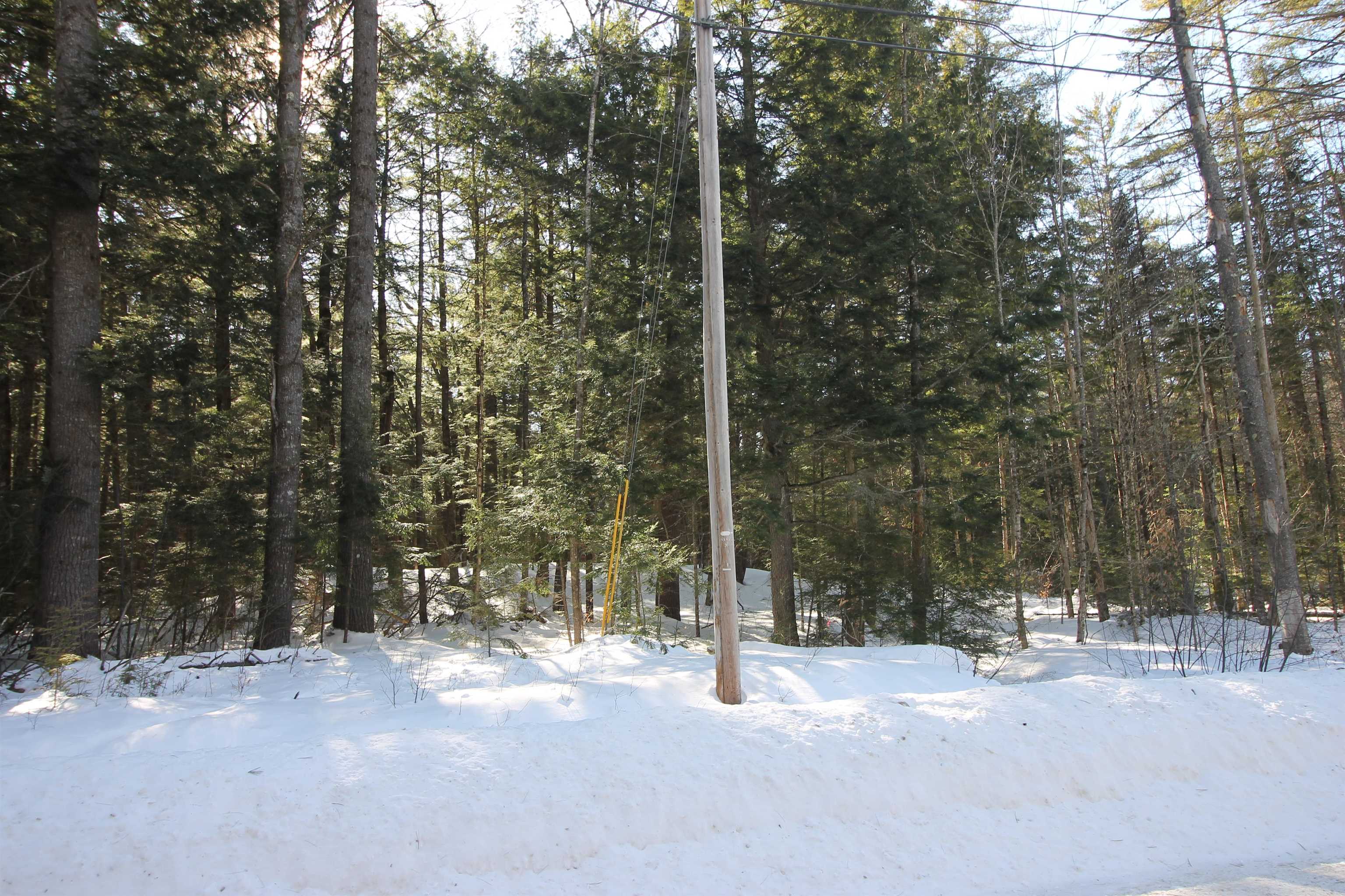 00 Covered Bridge Road Property Photo 16