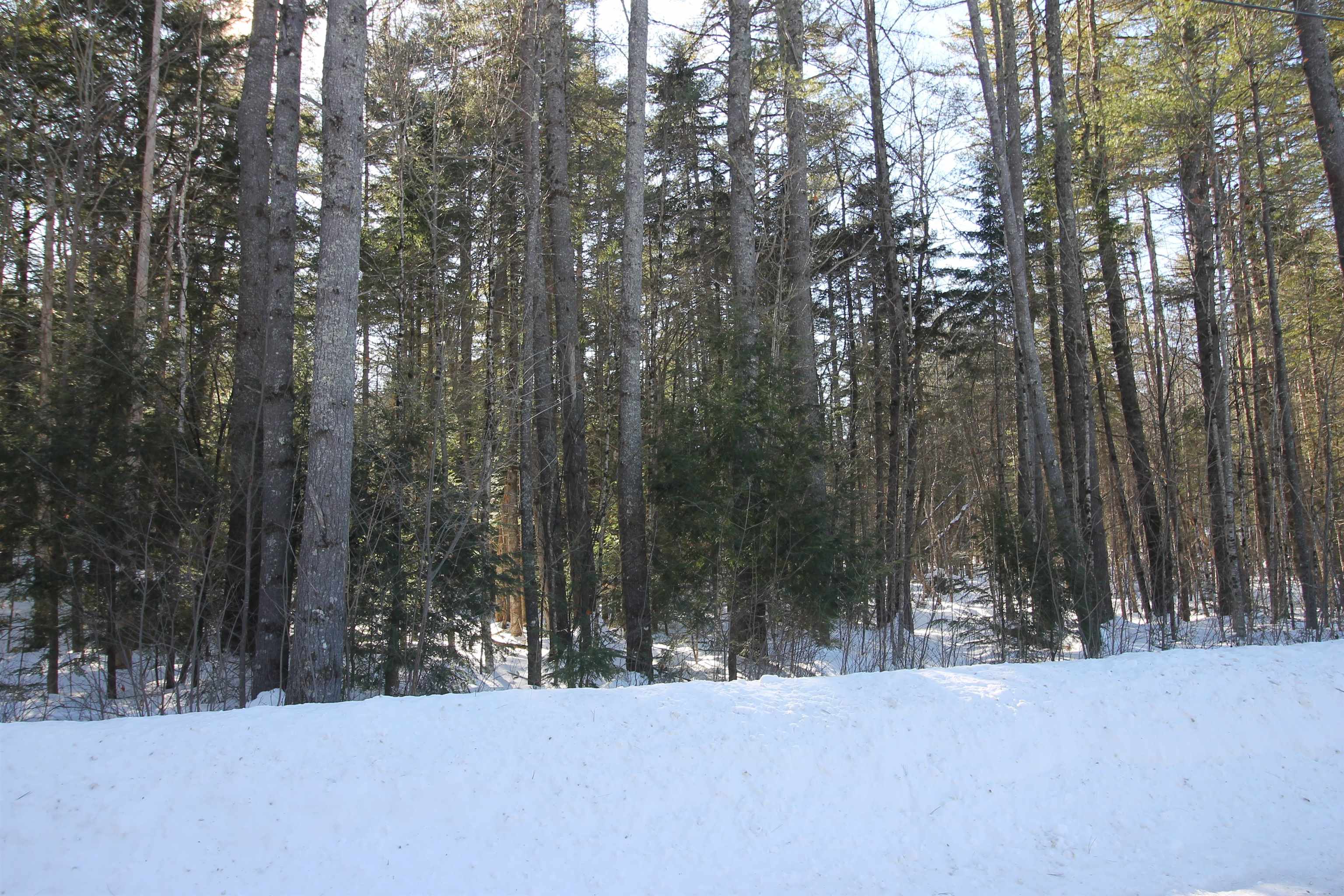 00 Covered Bridge Road Property Photo 18