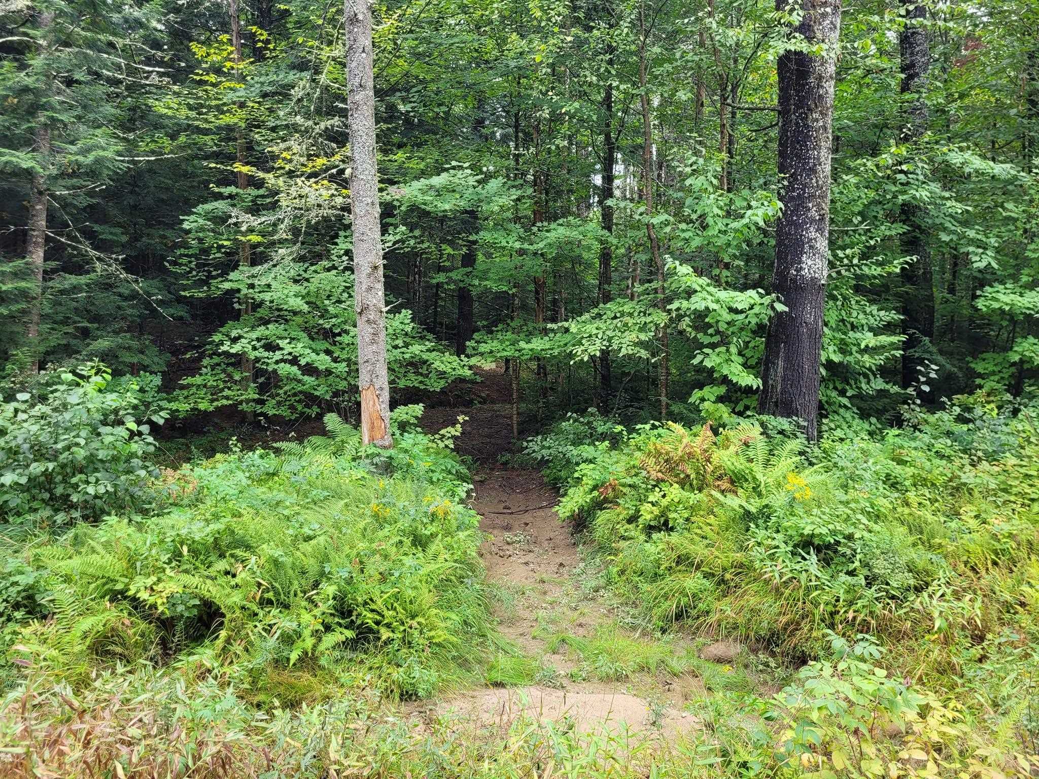 00 Covered Bridge Road Property Photo 33