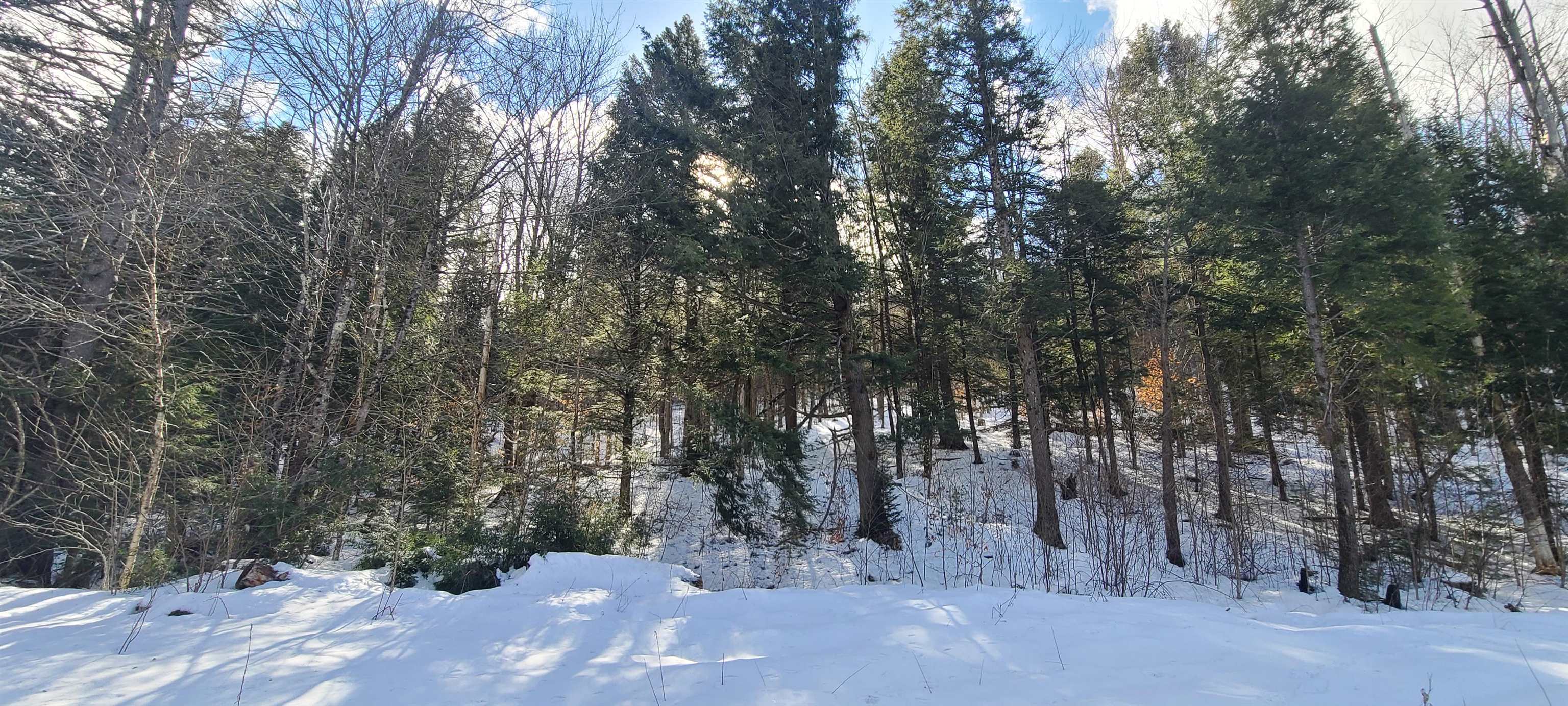 8559 Vt Route 30 Property Photo 2