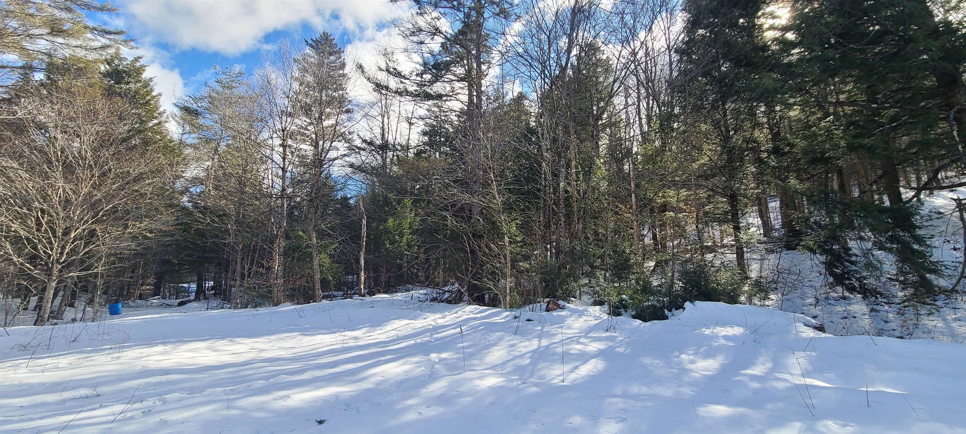 8559 Vt Route 30 Property Photo 3