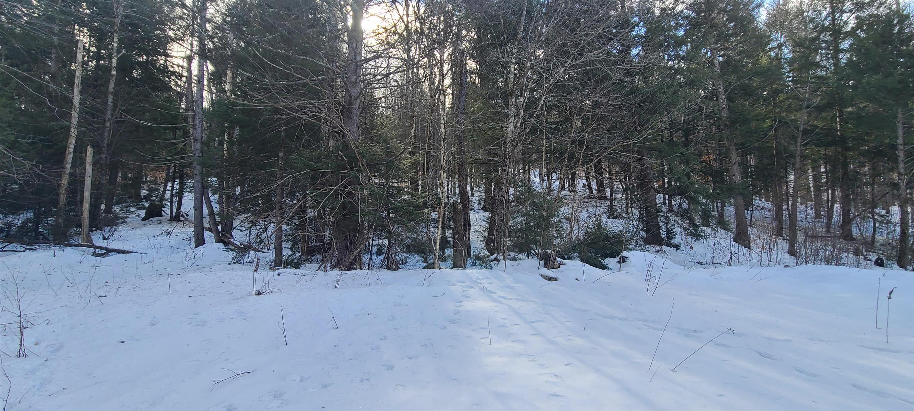 8559 Vt Route 30 Property Photo 4