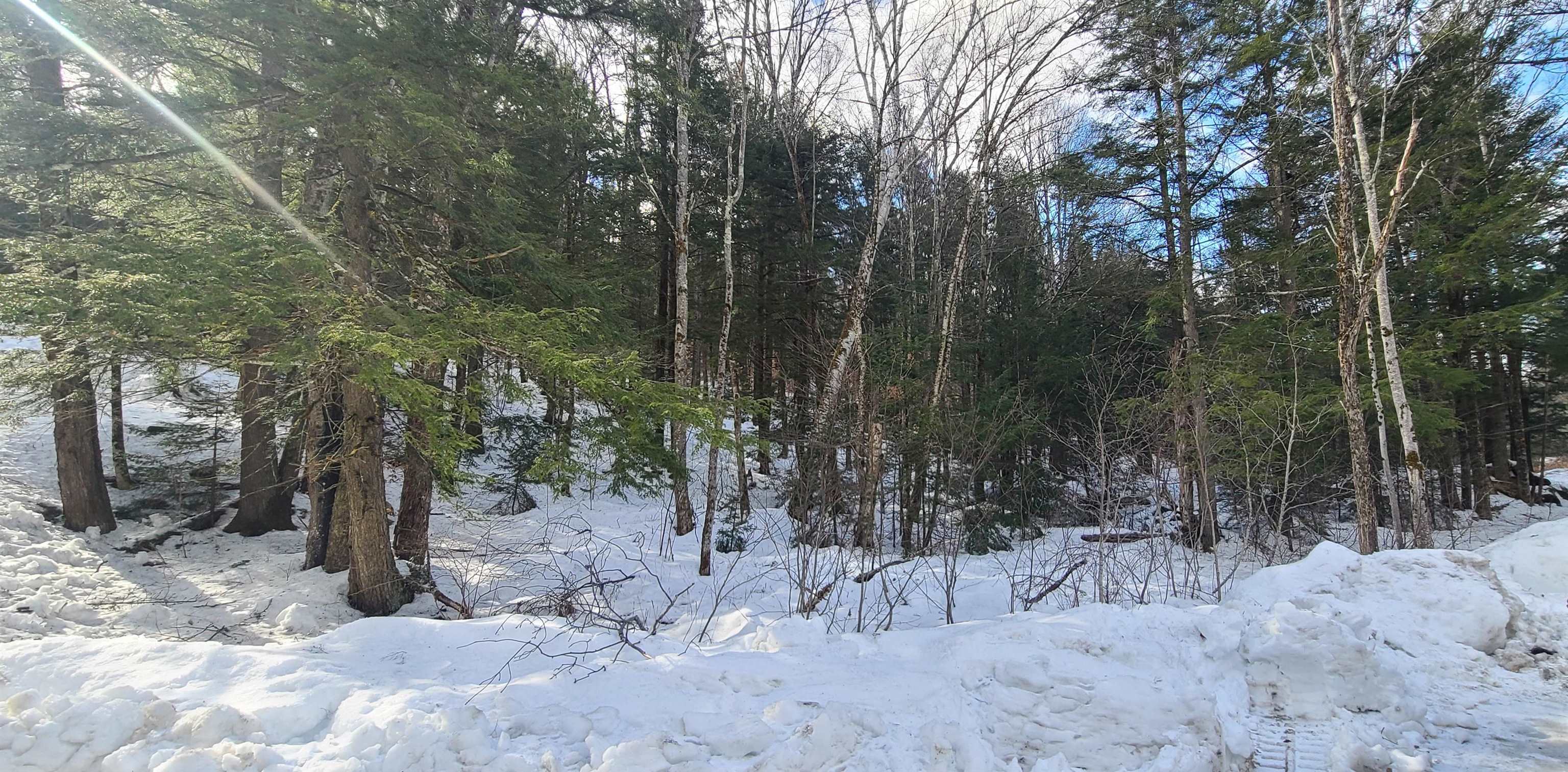 8559 Vt Route 30 Property Photo 6