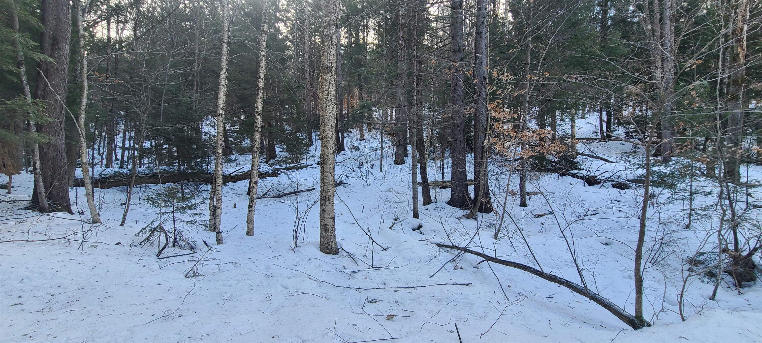 8559 Vt Route 30 Property Photo 8