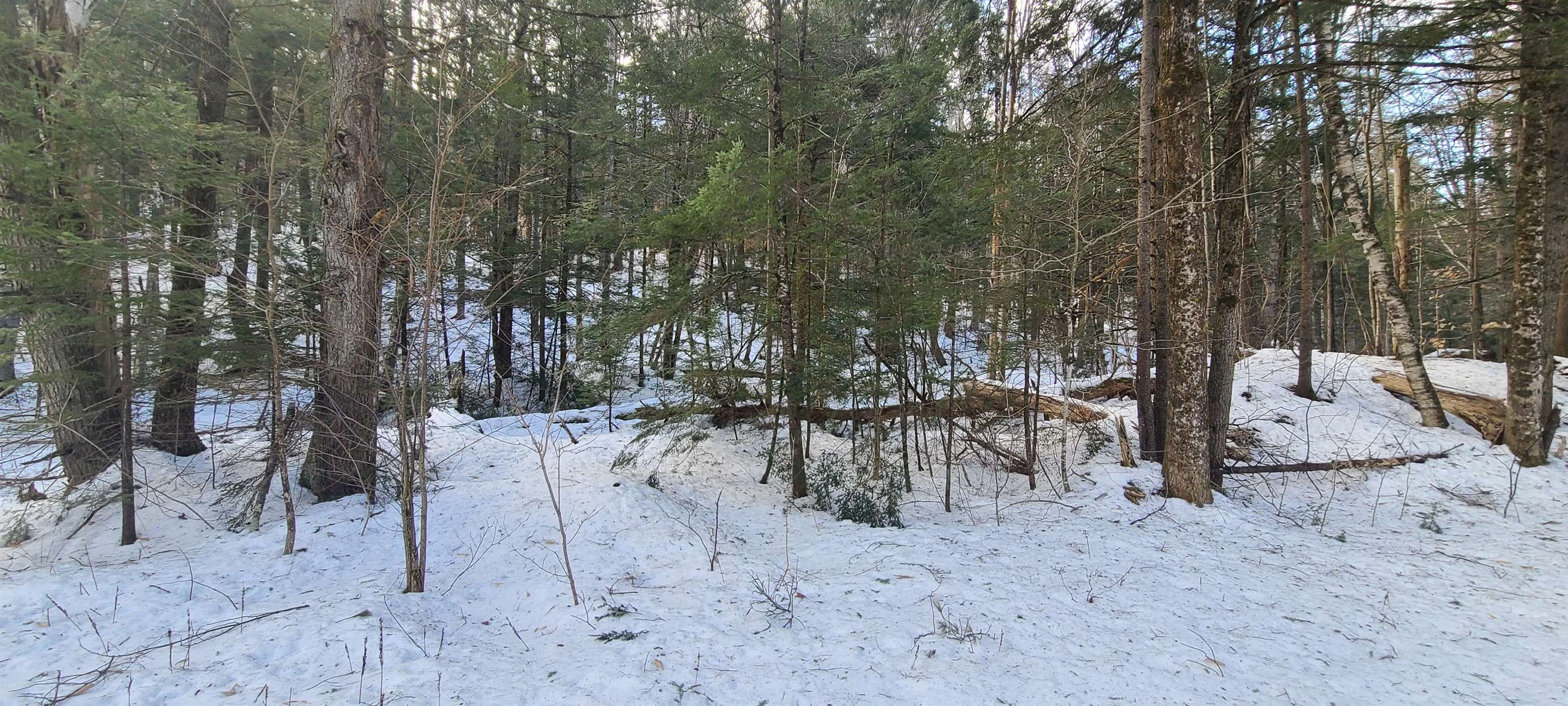 8559 Vt Route 30 Property Photo 9