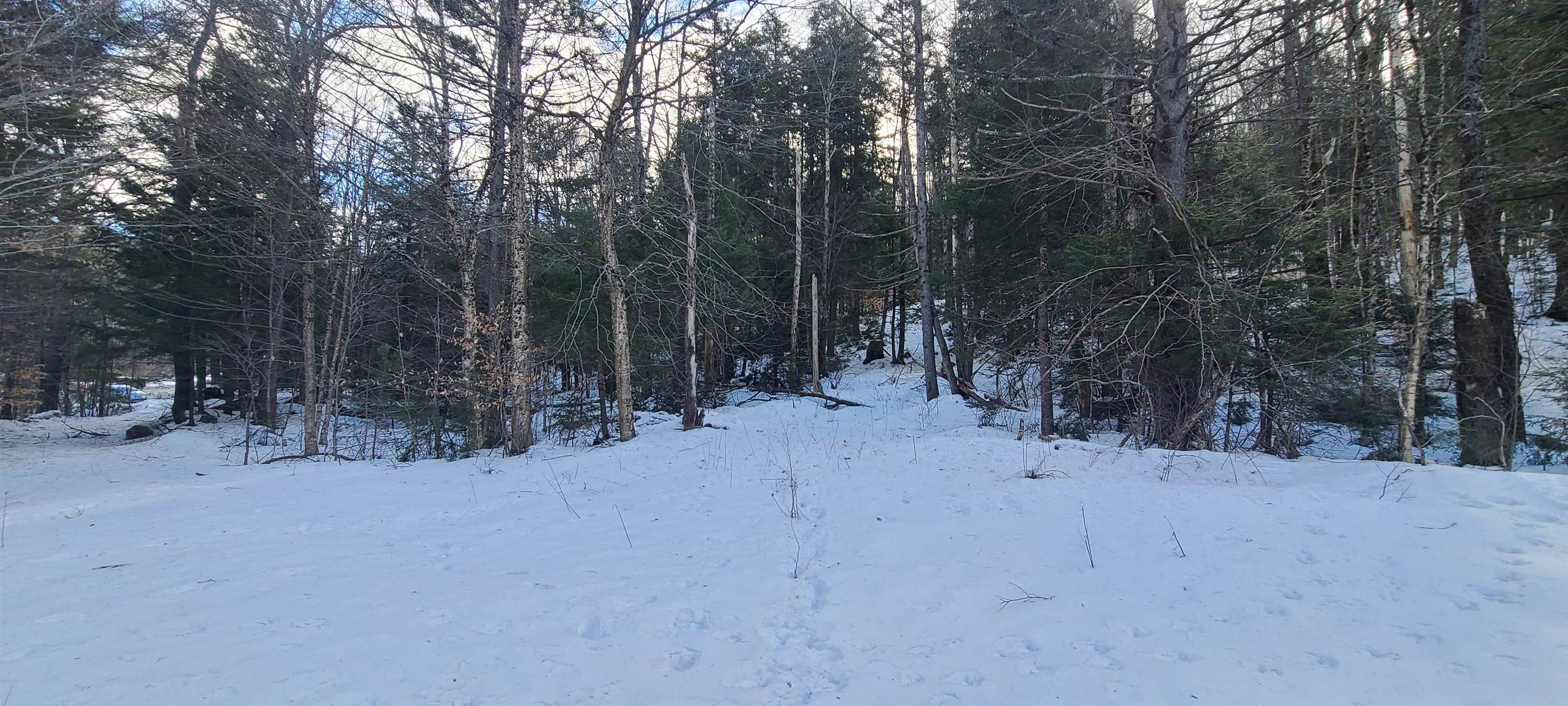 8559 Vt Route 30 Property Photo 10