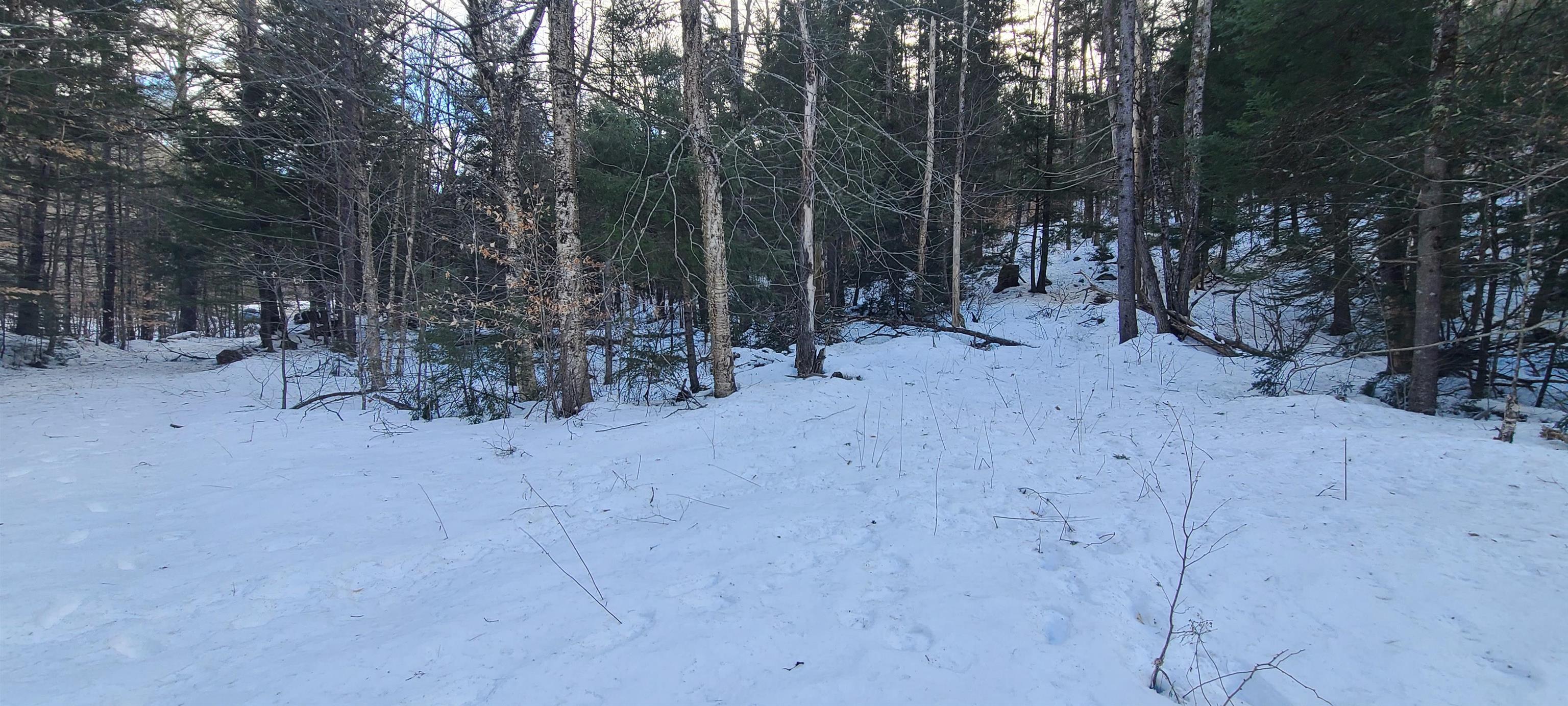 8559 Vt Route 30 Property Photo 11