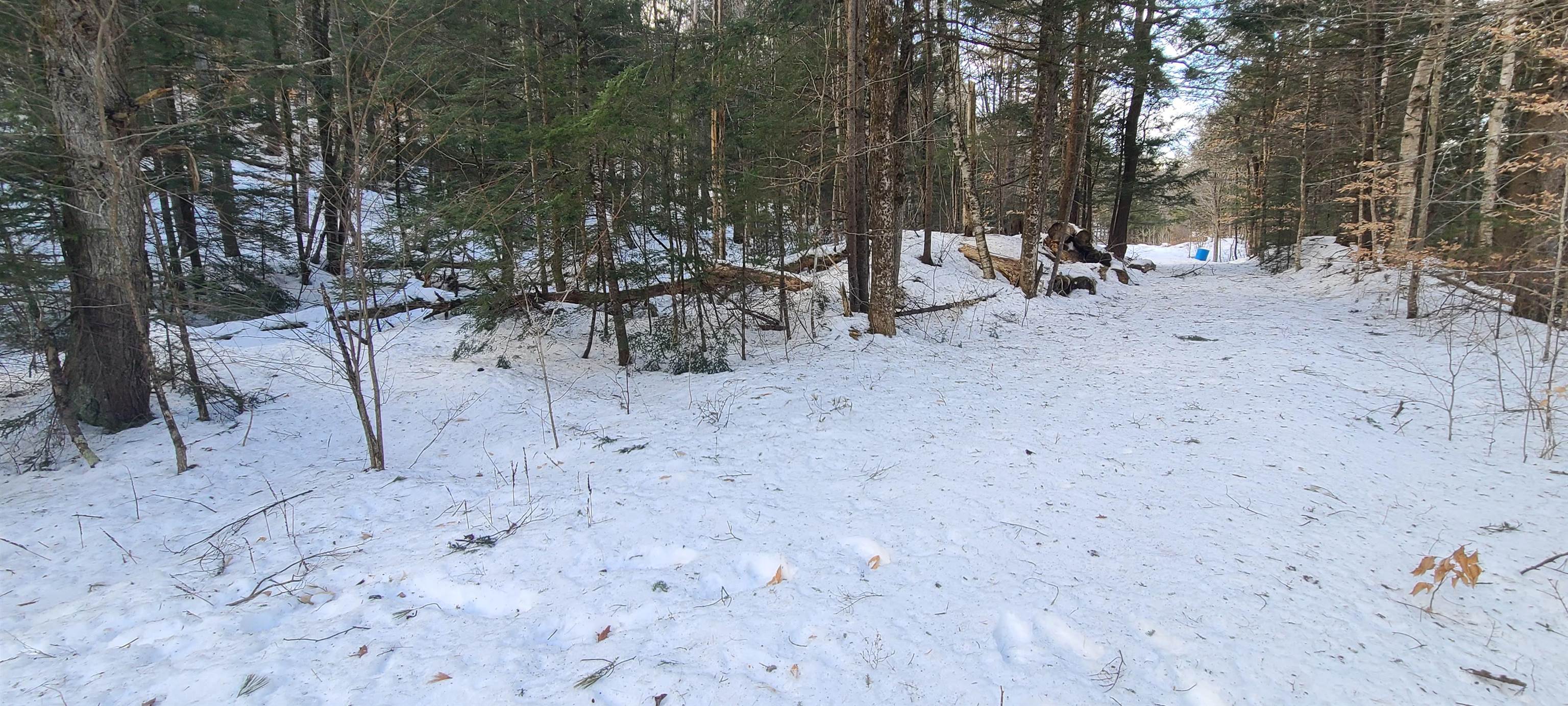 8559 Vt Route 30 Property Photo 12