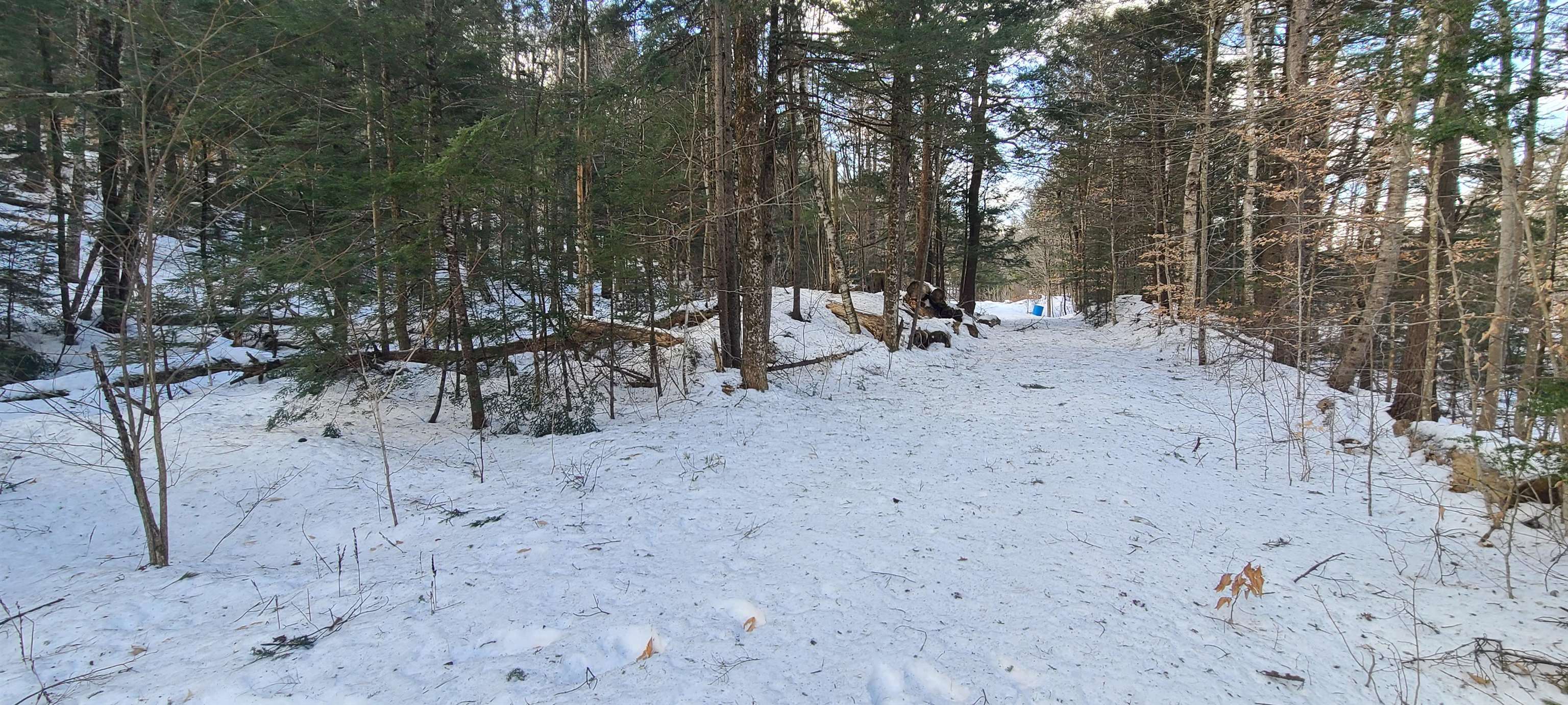 8559 Vt Route 30 Property Photo 13