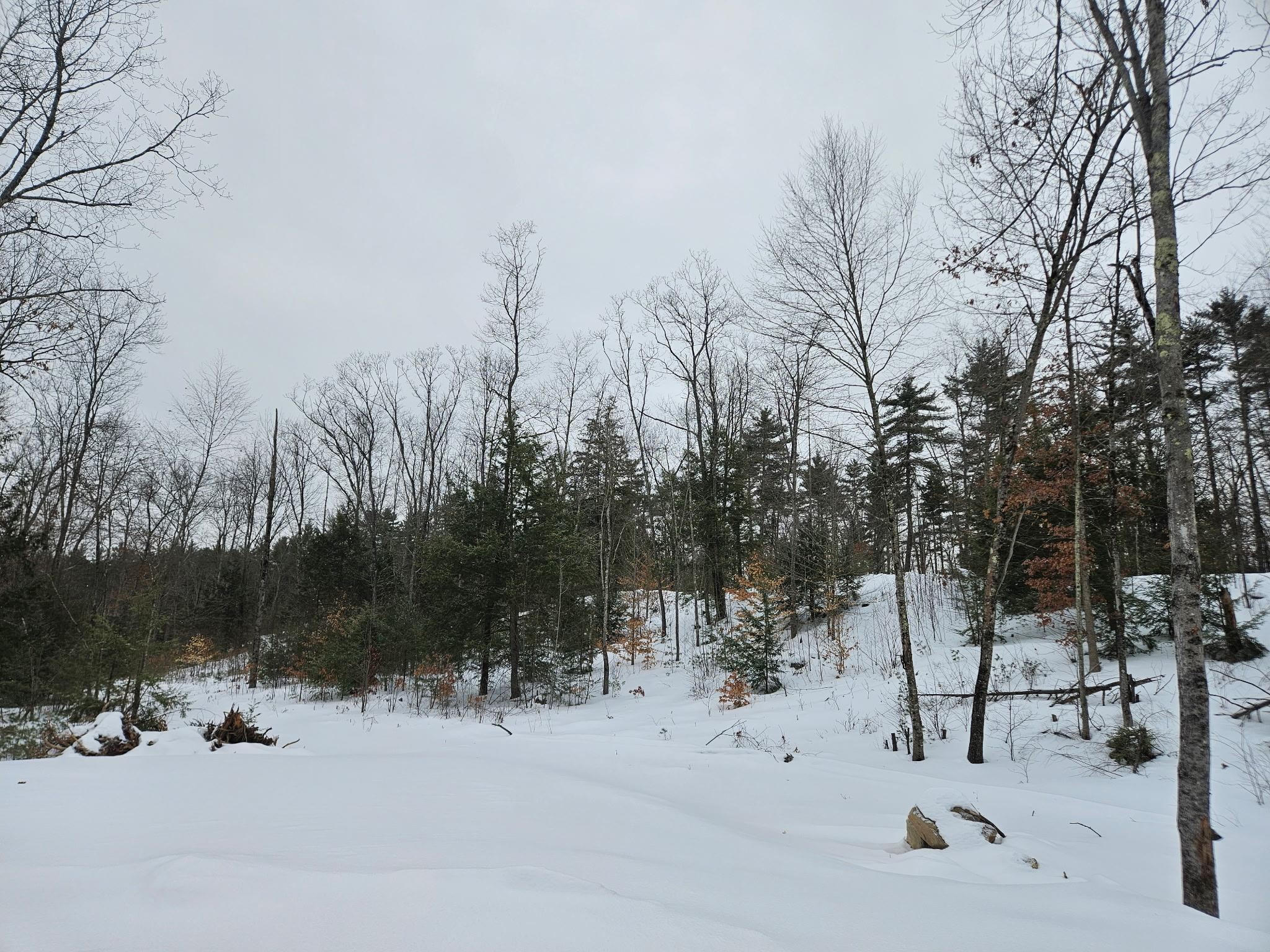 1 Whitetail Way Property Photo 1