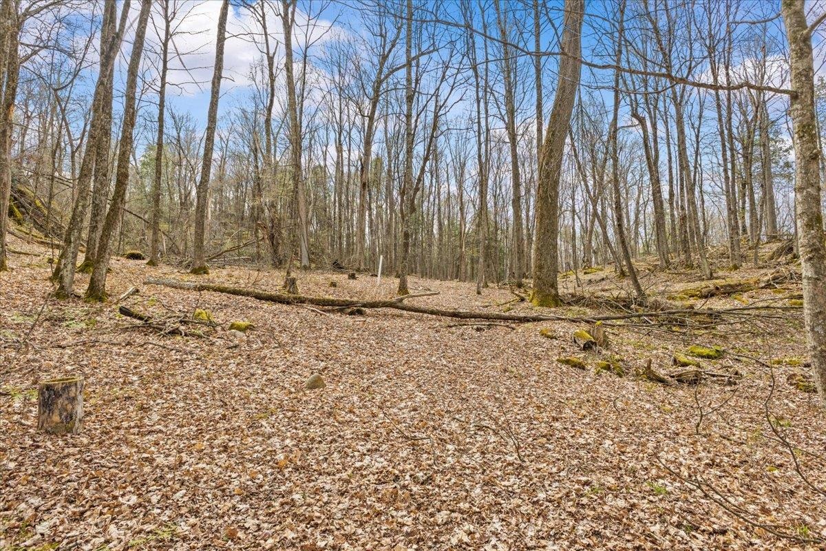 0 Bullock Road Property Photo 8