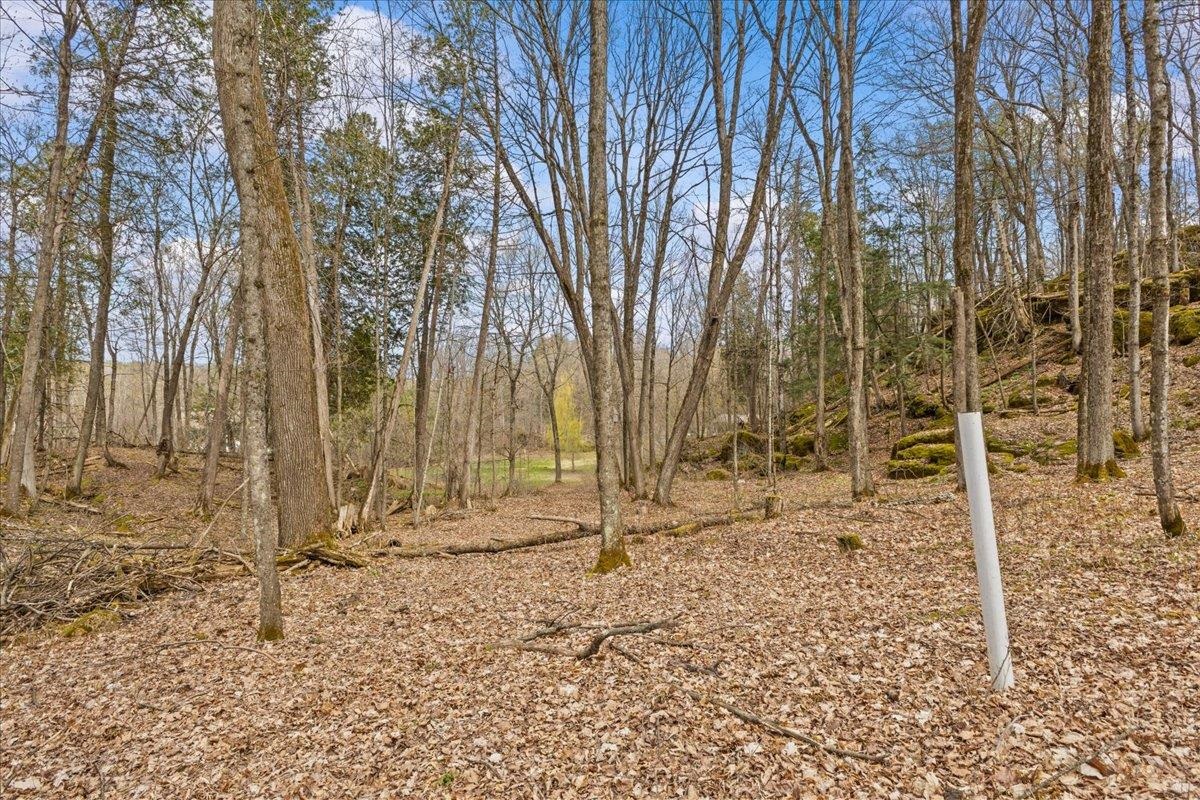 0 Bullock Road Property Photo 15