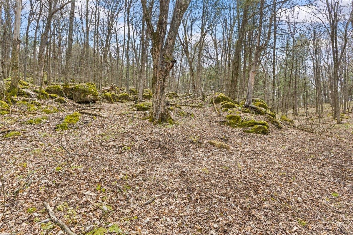 0 Bullock Road Property Photo 18