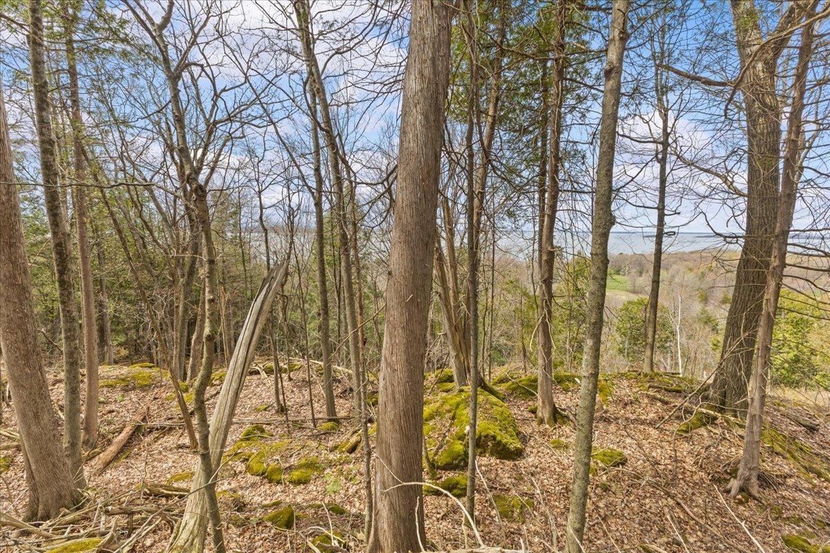 0 Bullock Road Property Photo 19
