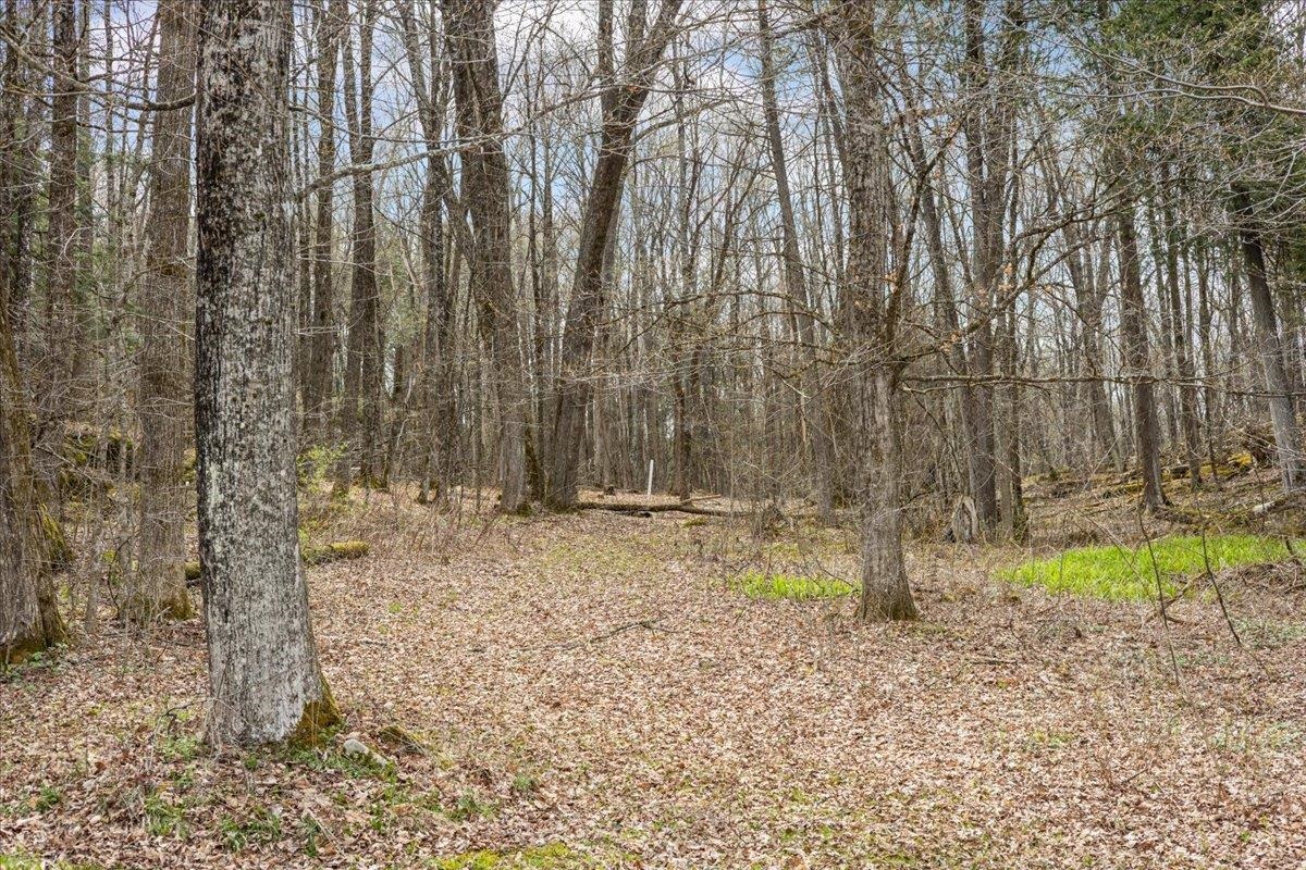 0 Bullock Road Property Photo 32