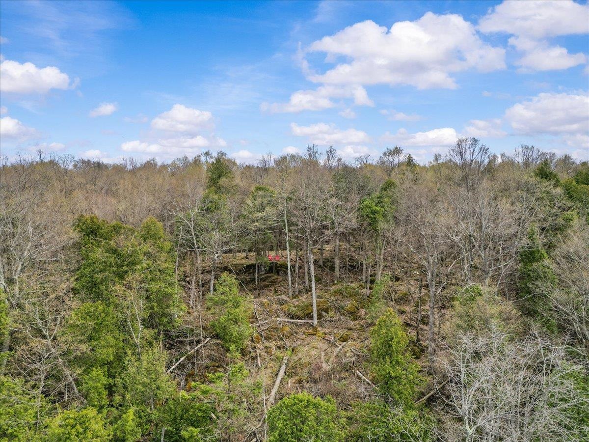 0 Bullock Road Property Photo 33