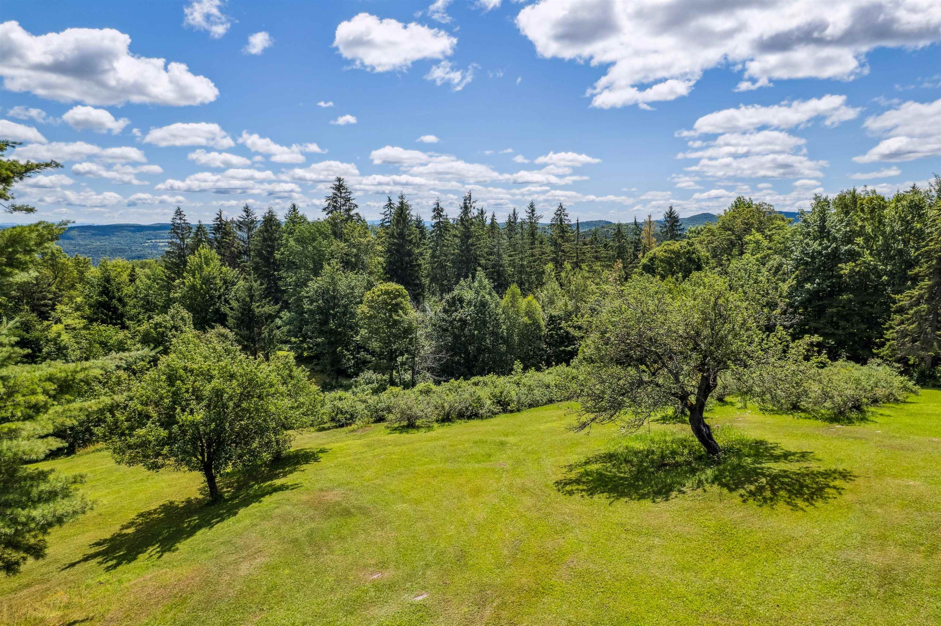 196 Cowdrey Outlook Property Photo 13
