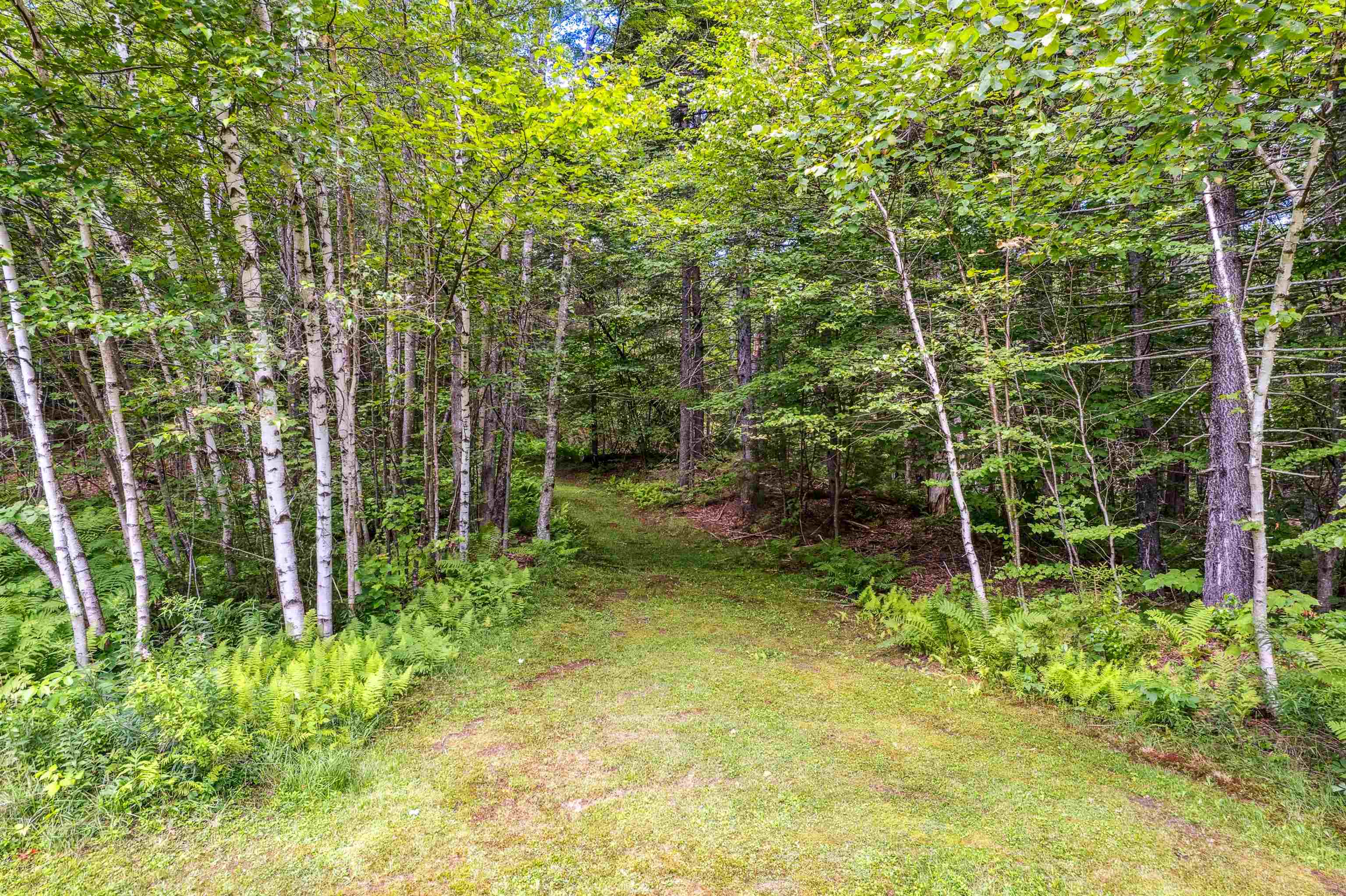 196 Cowdrey Outlook Property Photo 31