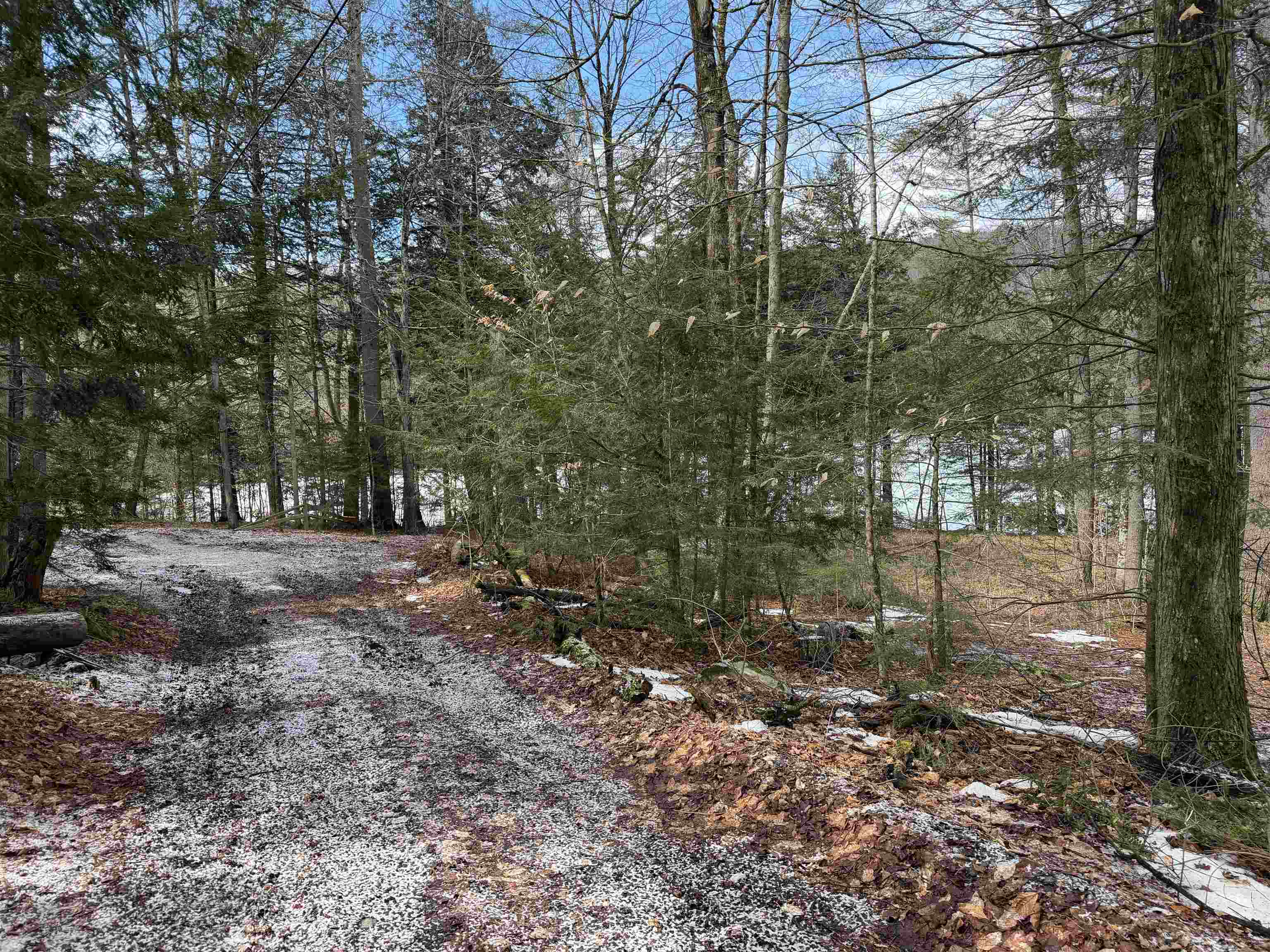 380 Columbia Drive Property Photo 2