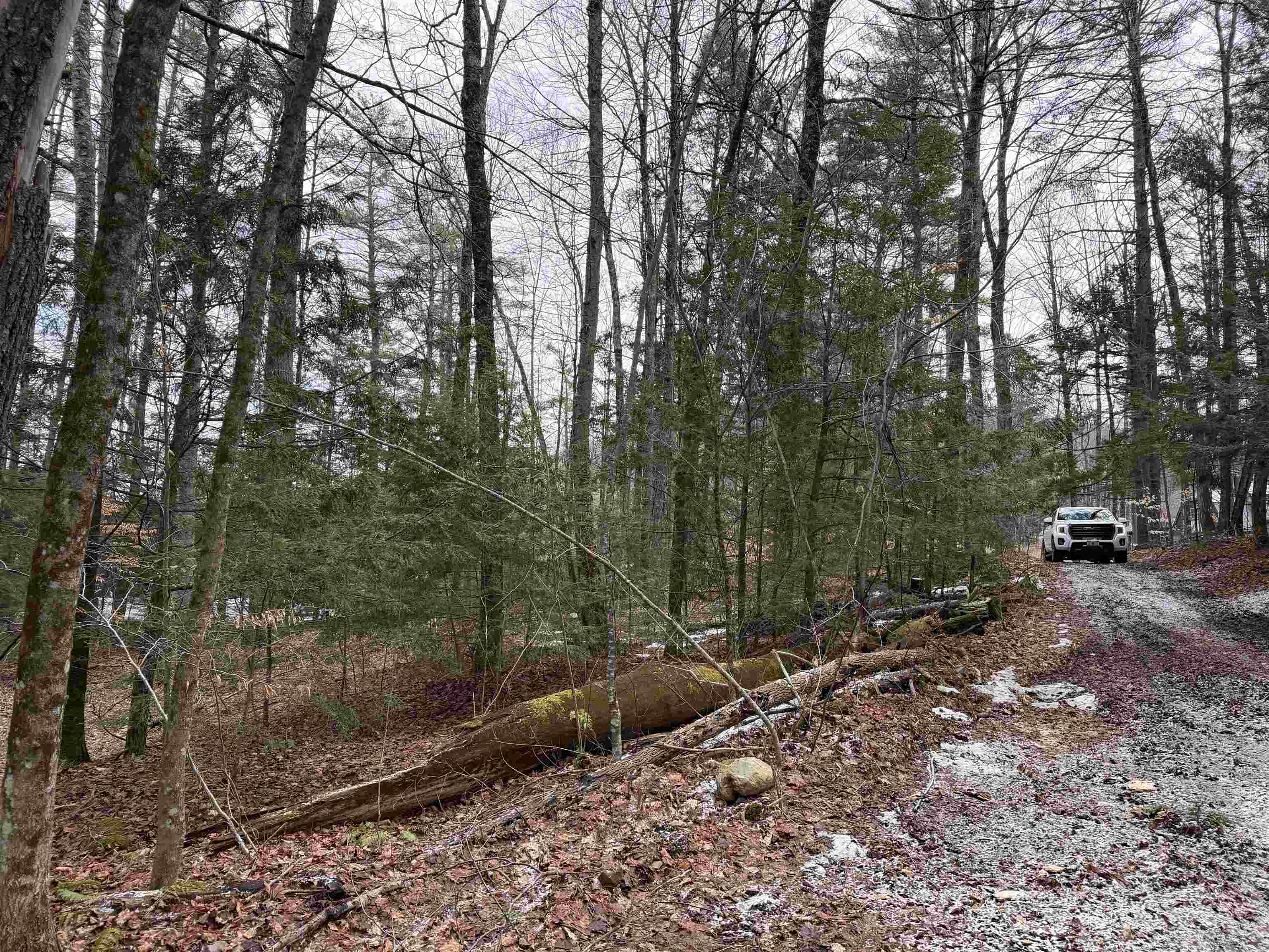 380 Columbia Drive Property Photo 5