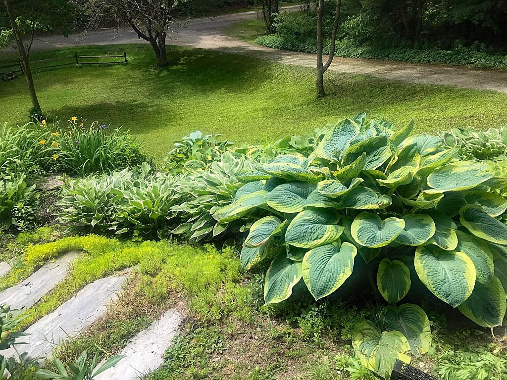 60 Irish Lane Property Photo 2