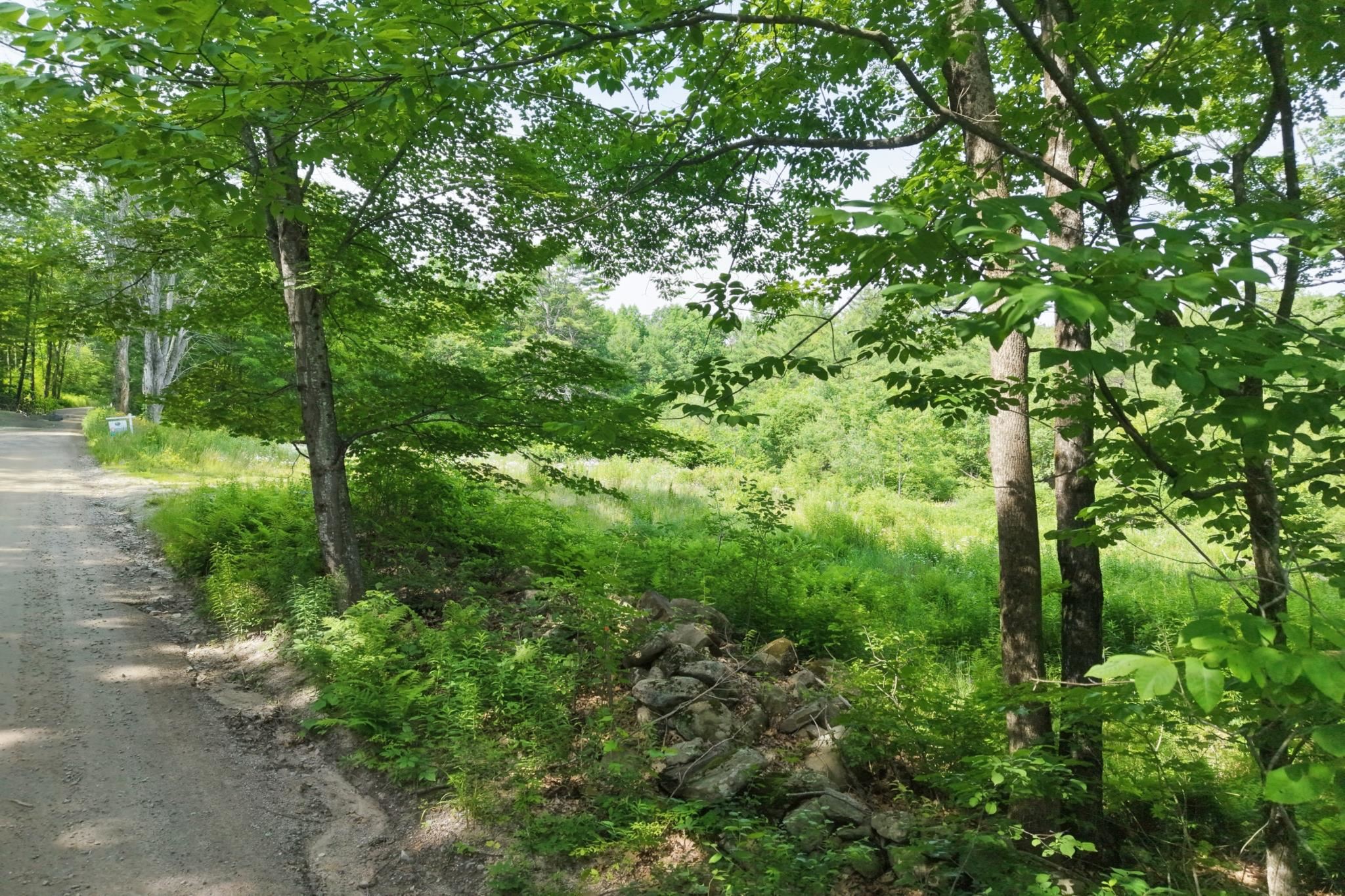 Texas Hill Road Property Photo 5