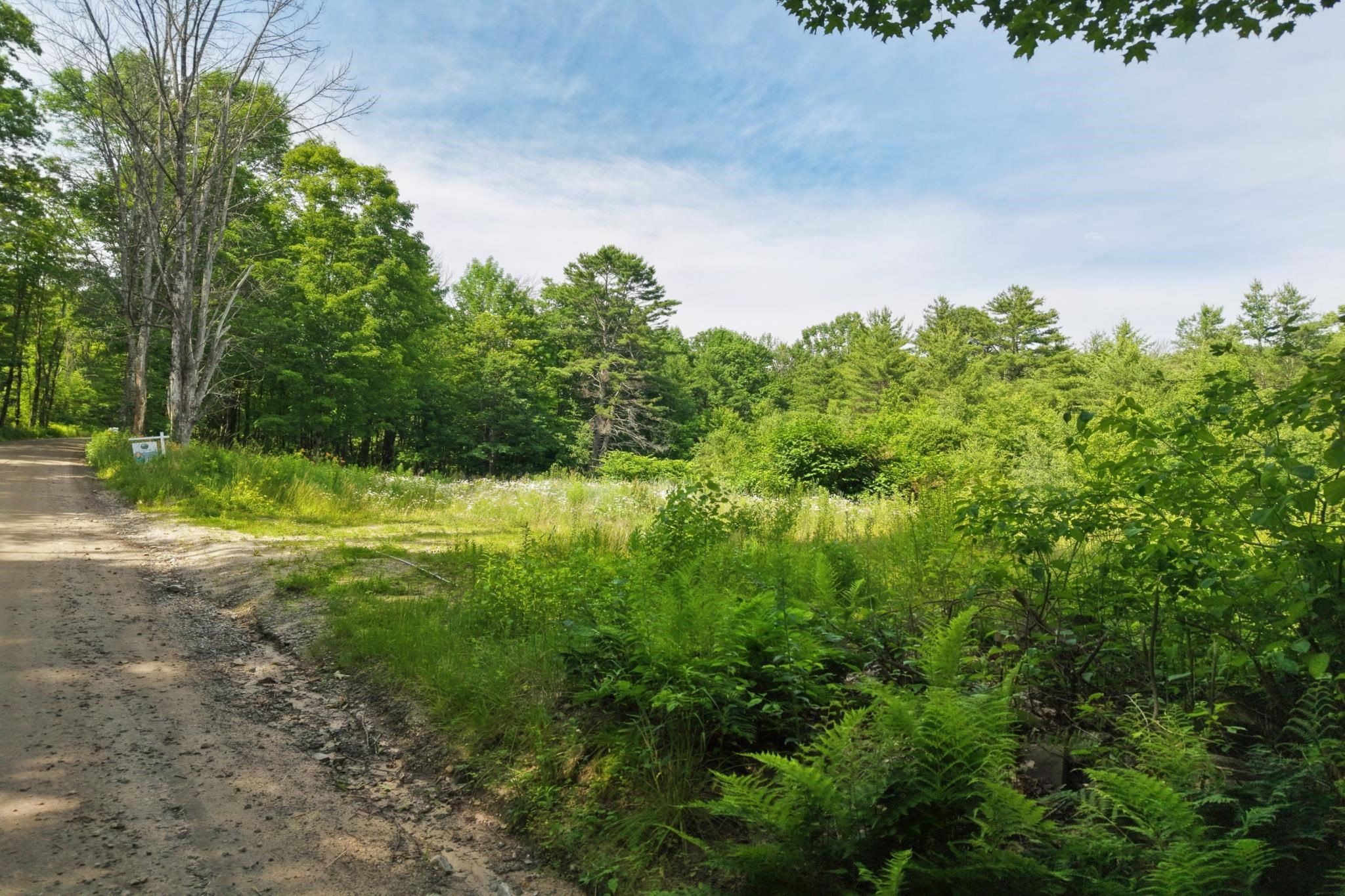 Texas Hill Road Property Photo 6