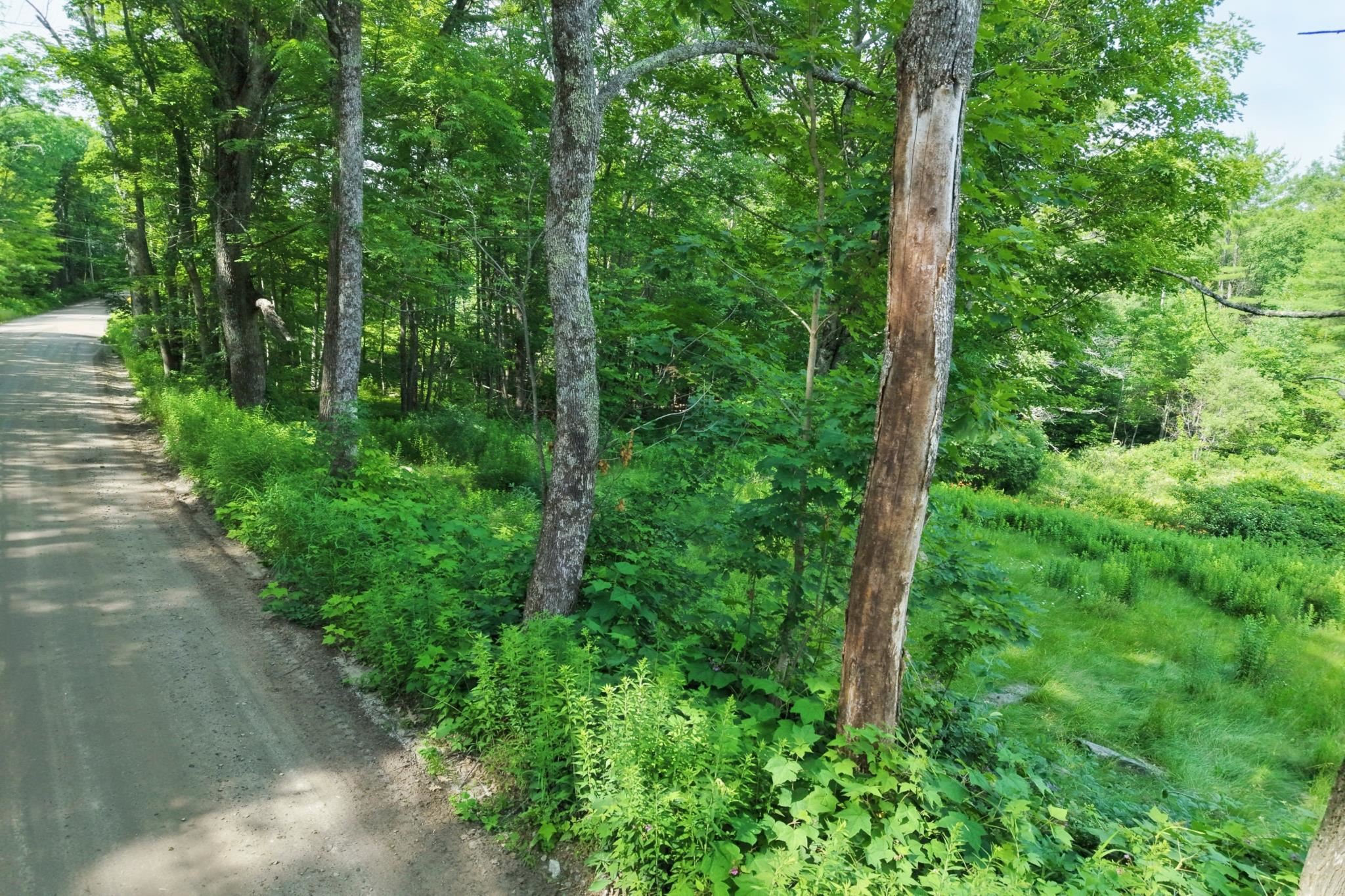 Texas Hill Road Property Photo 7