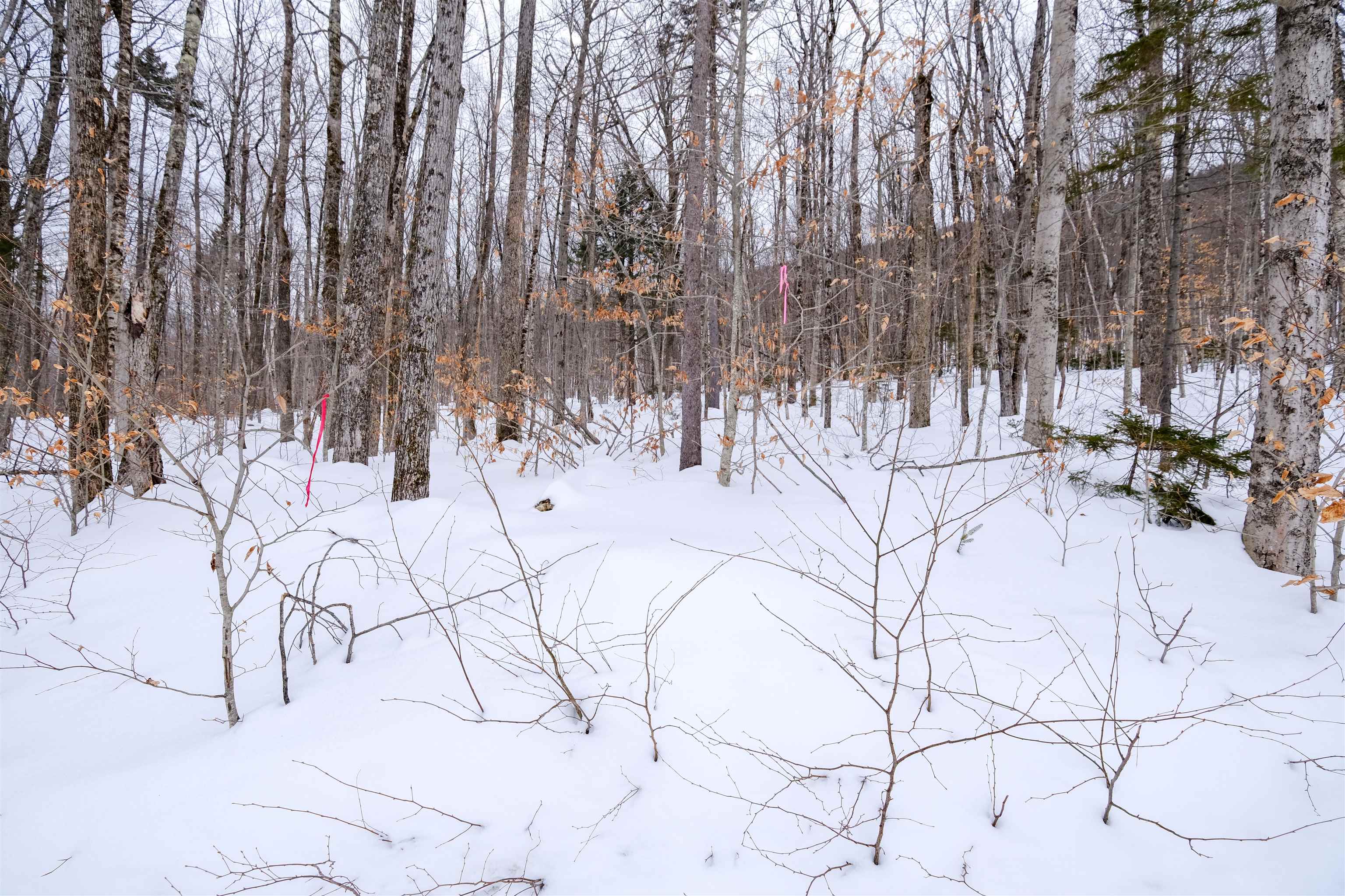 0 Markham Mountain Road Property Photo 2