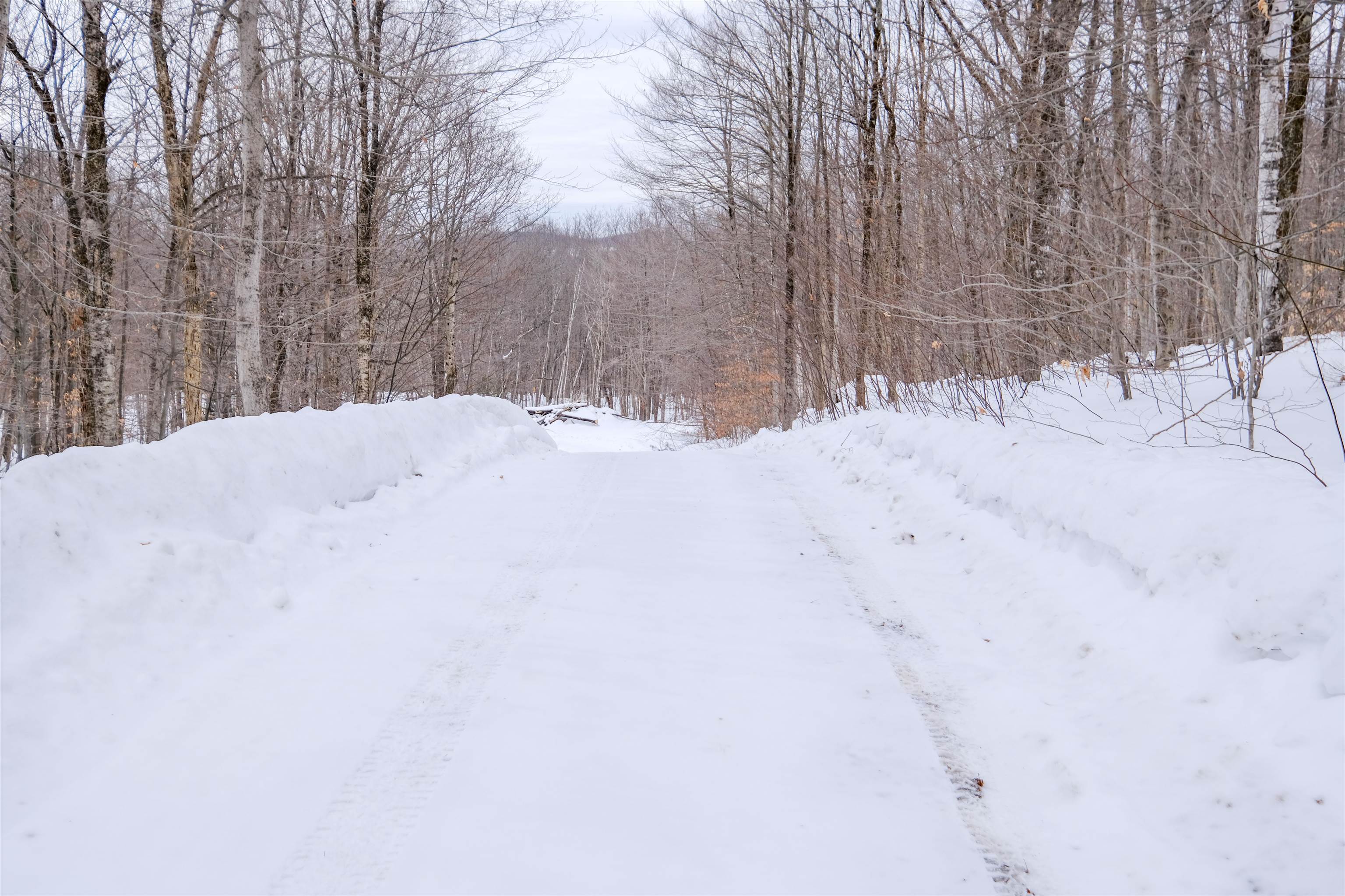 0 Markham Mountain Road Property Photo 4