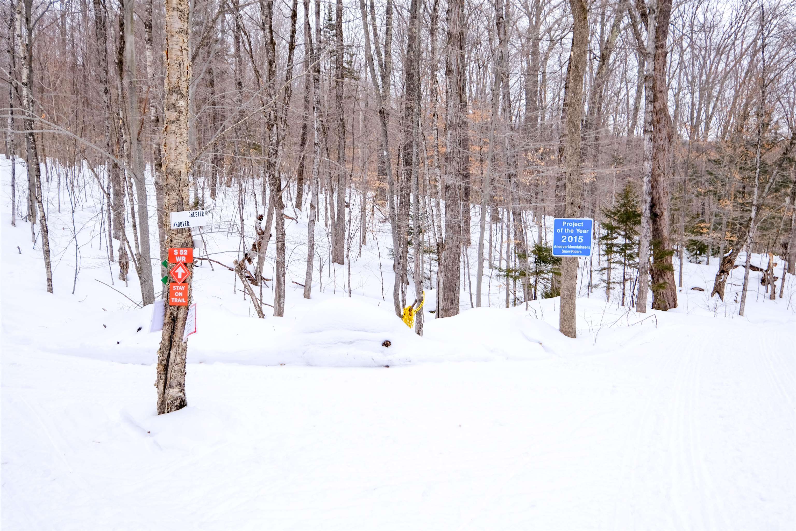 0 Markham Mountain Road Property Photo 6