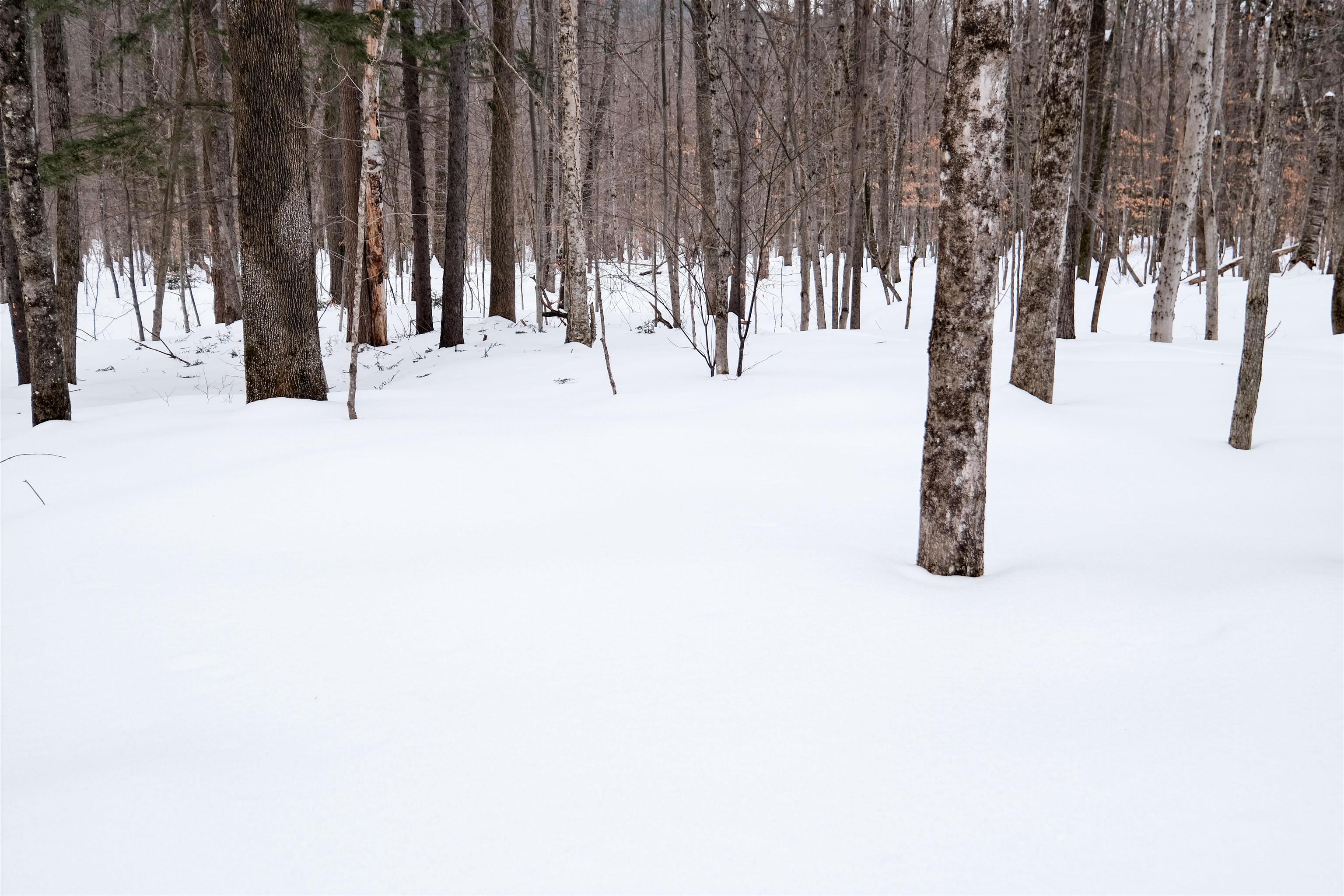 0 Markham Mountain Road Property Photo 9
