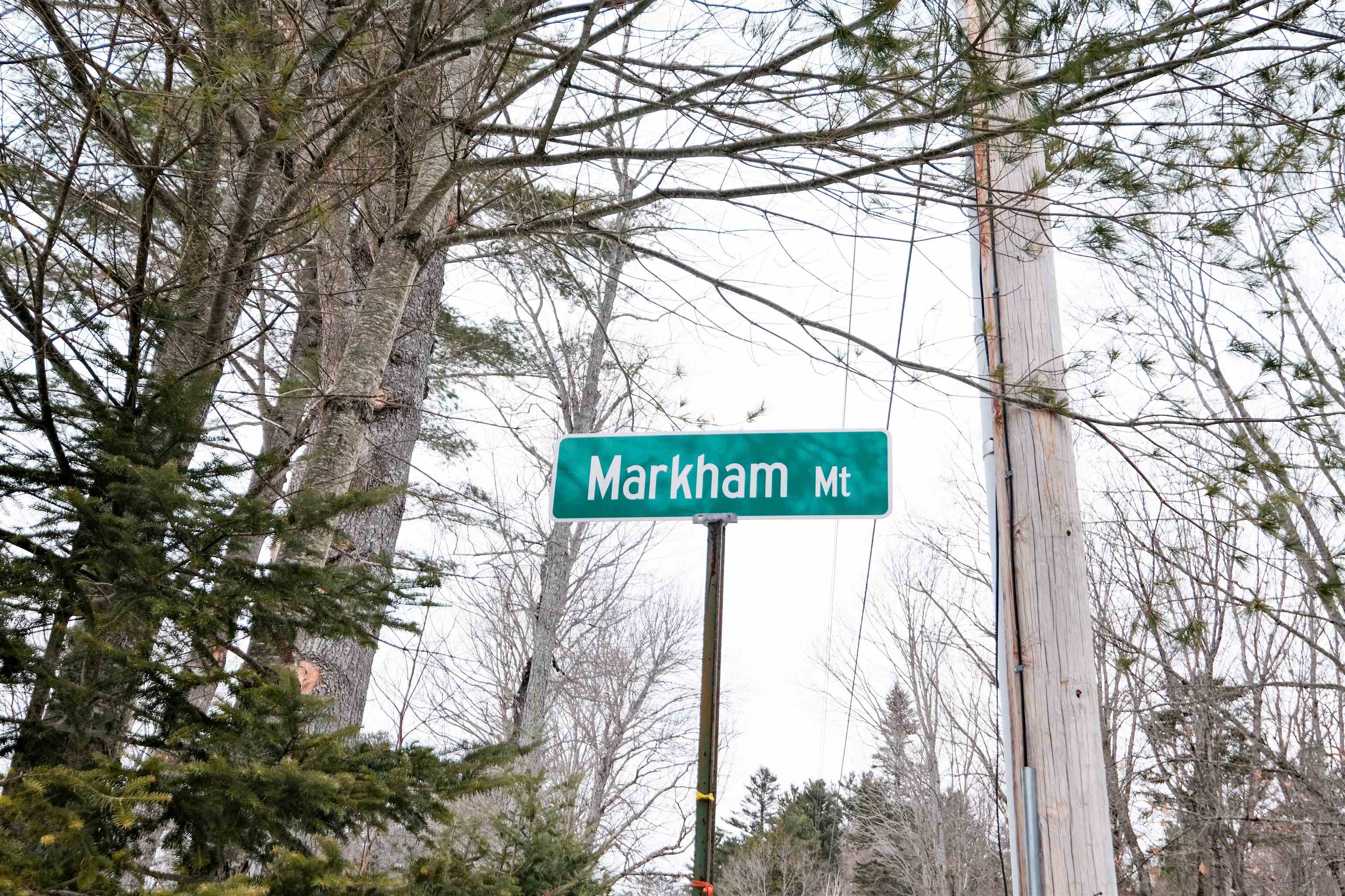 0 Markham Mountain Road Property Photo 11