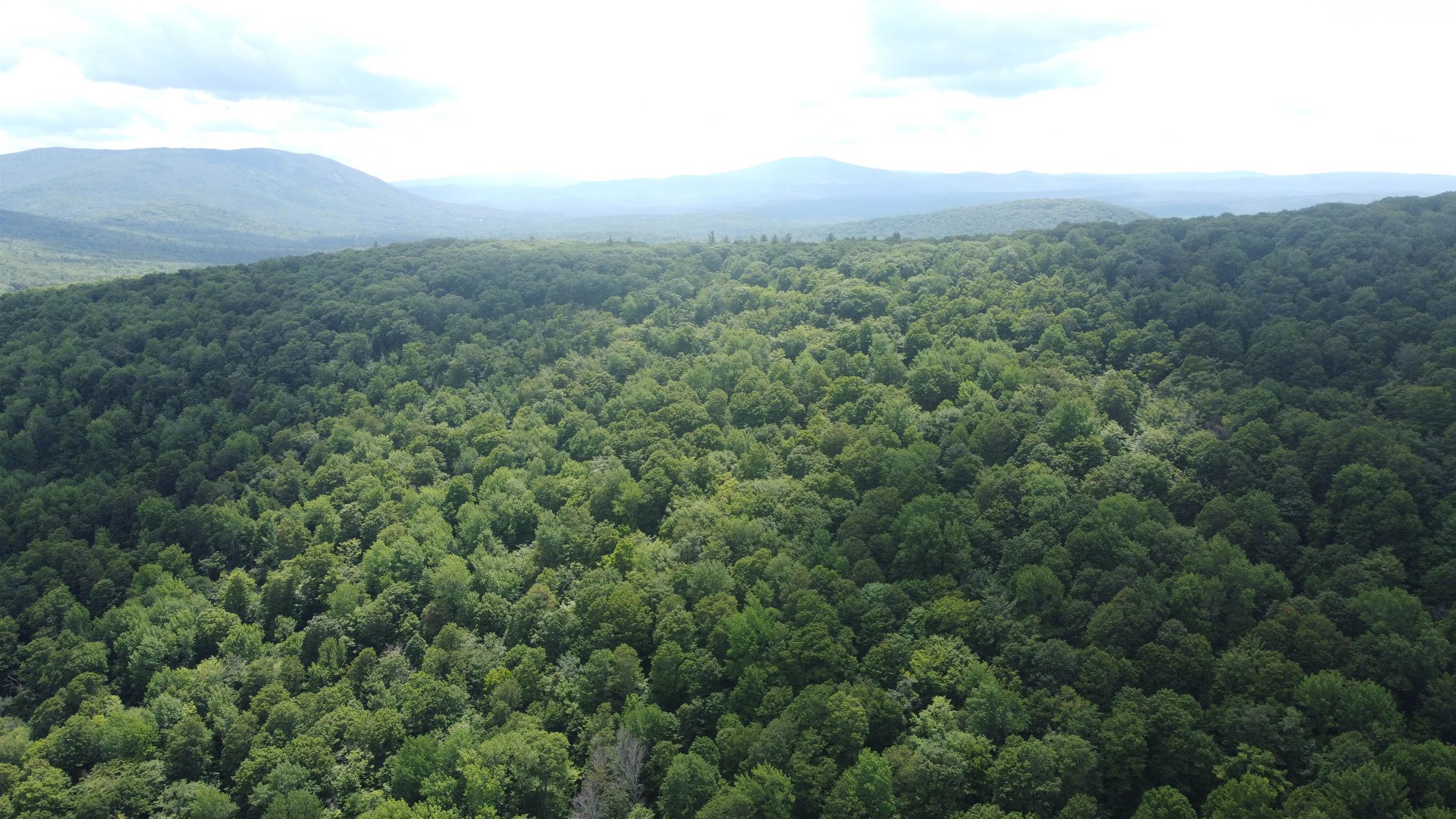 0 Markham Mountain Road Property Photo 17