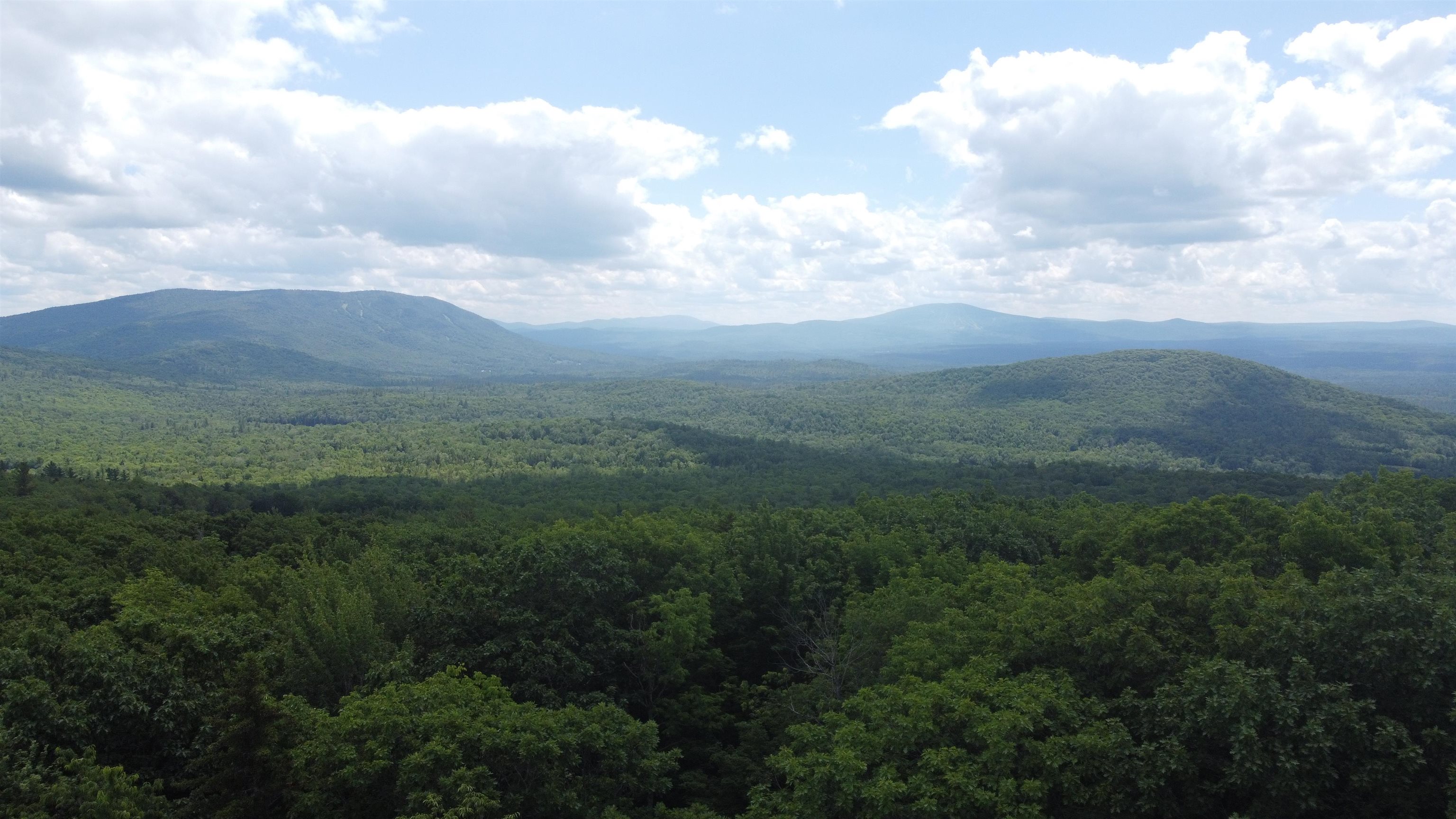 0 Markham Mountain Road Property Photo 19