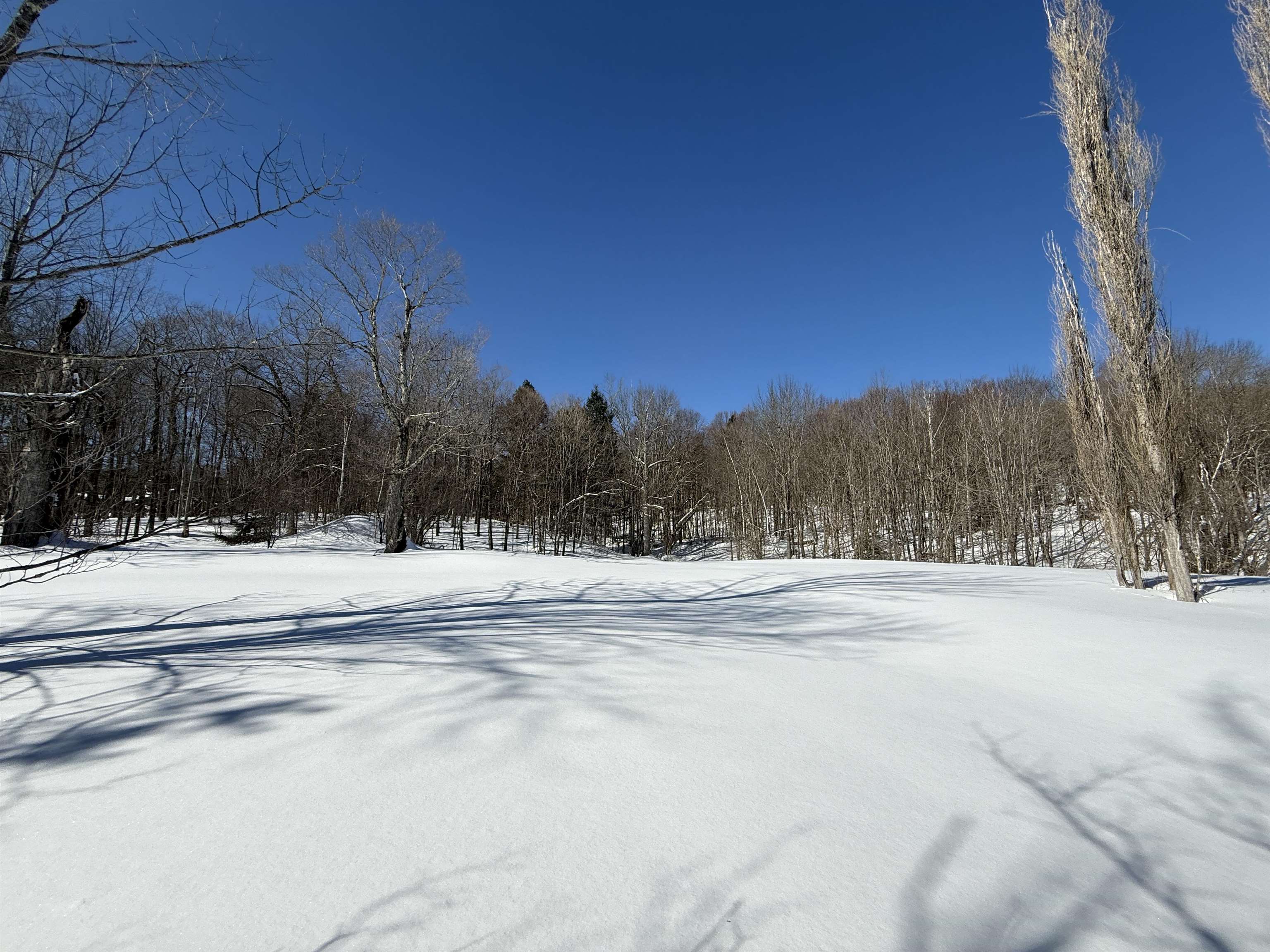 00 Vt Route 11 Property Photo 7