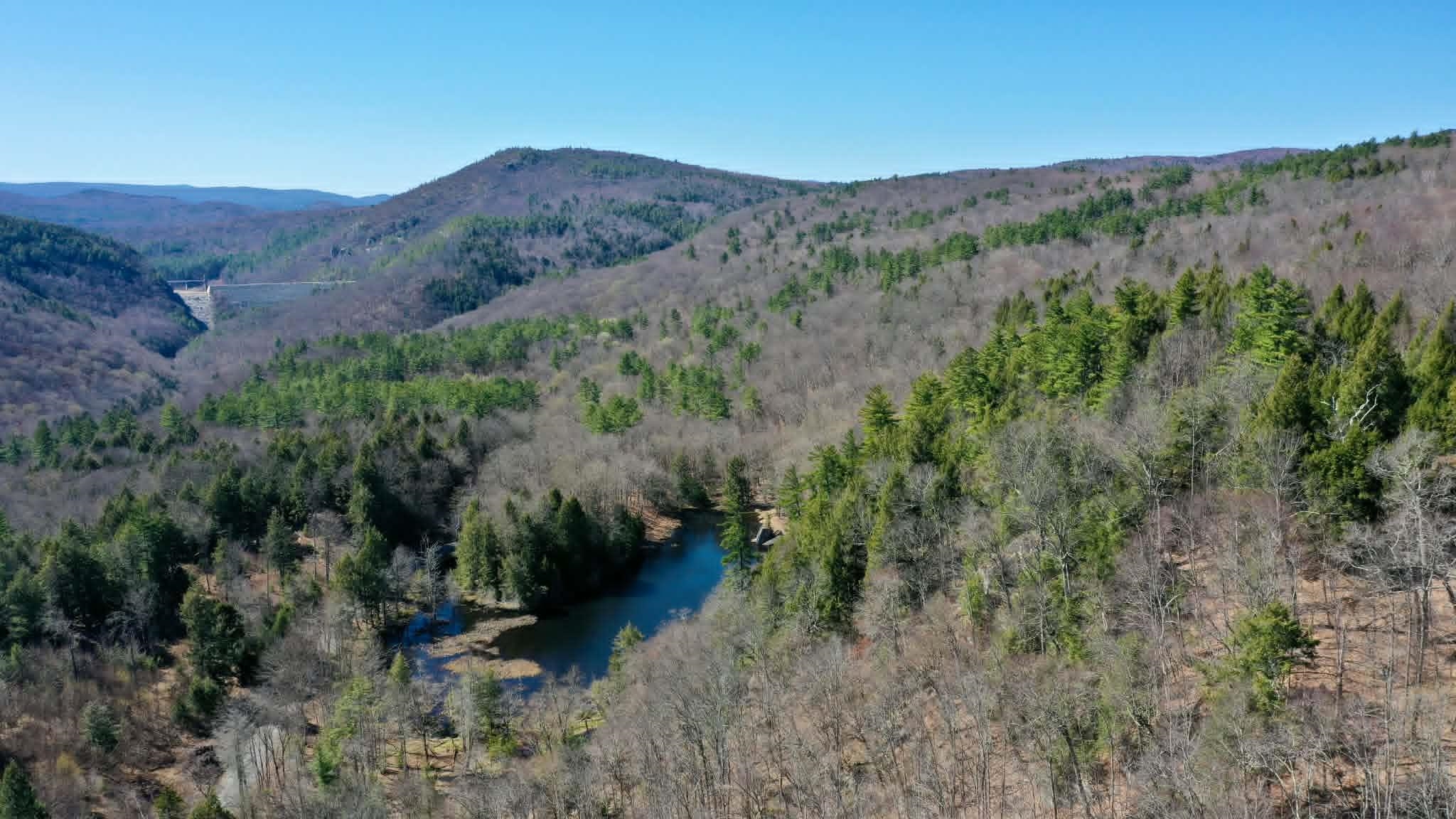 00 Turkey Mountain Road Property Photo 1
