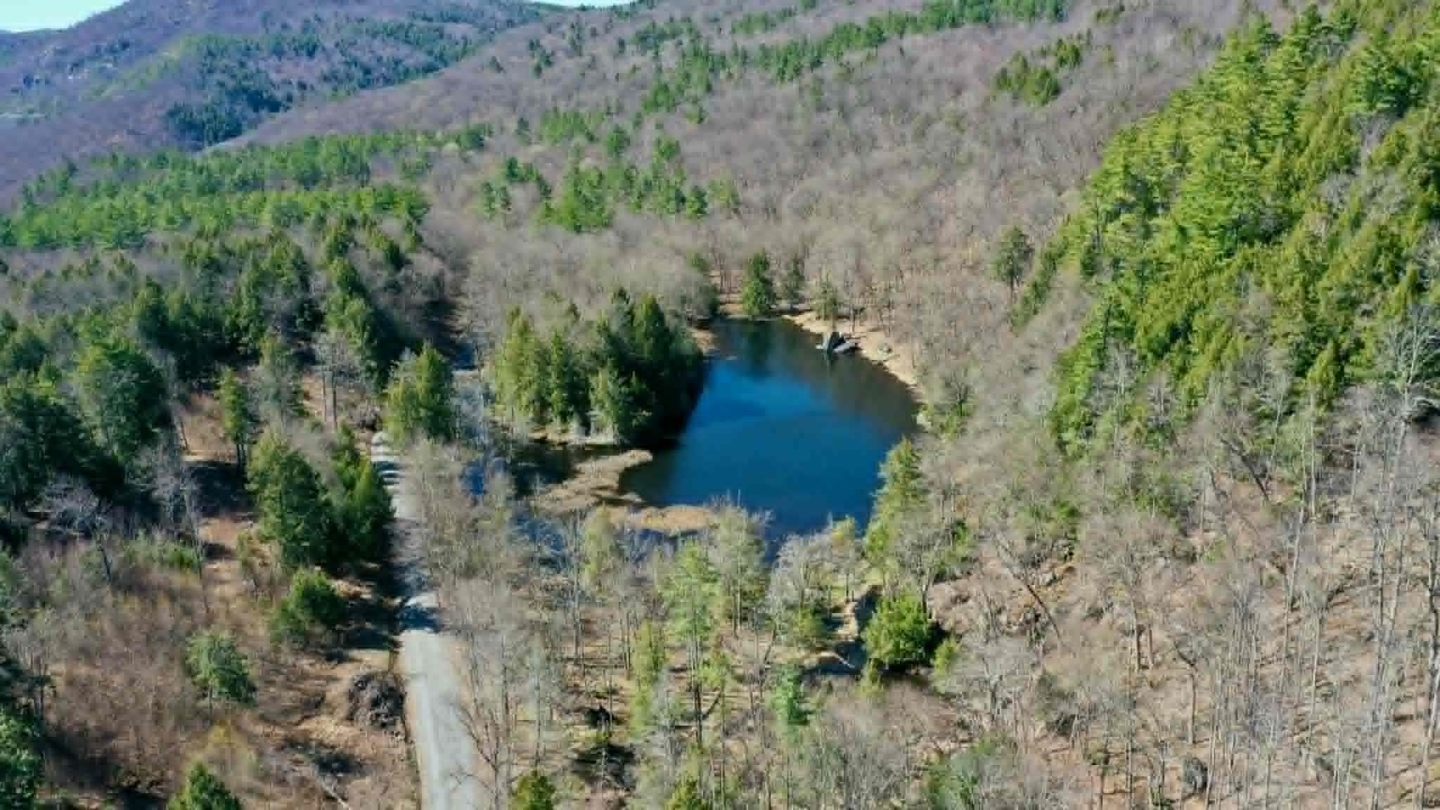00 Turkey Mountain Road Property Photo 3