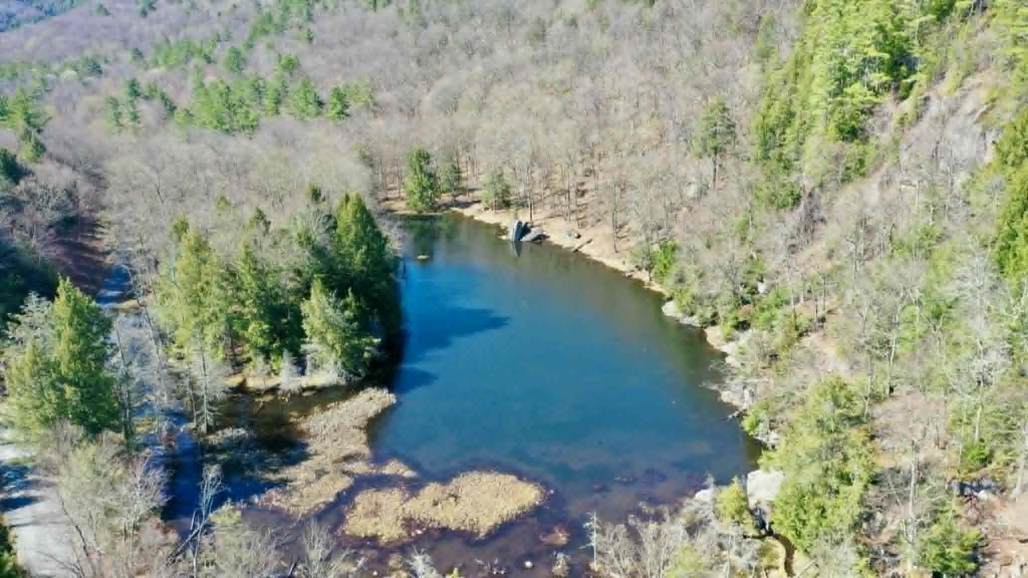 00 Turkey Mountain Road Property Photo 4