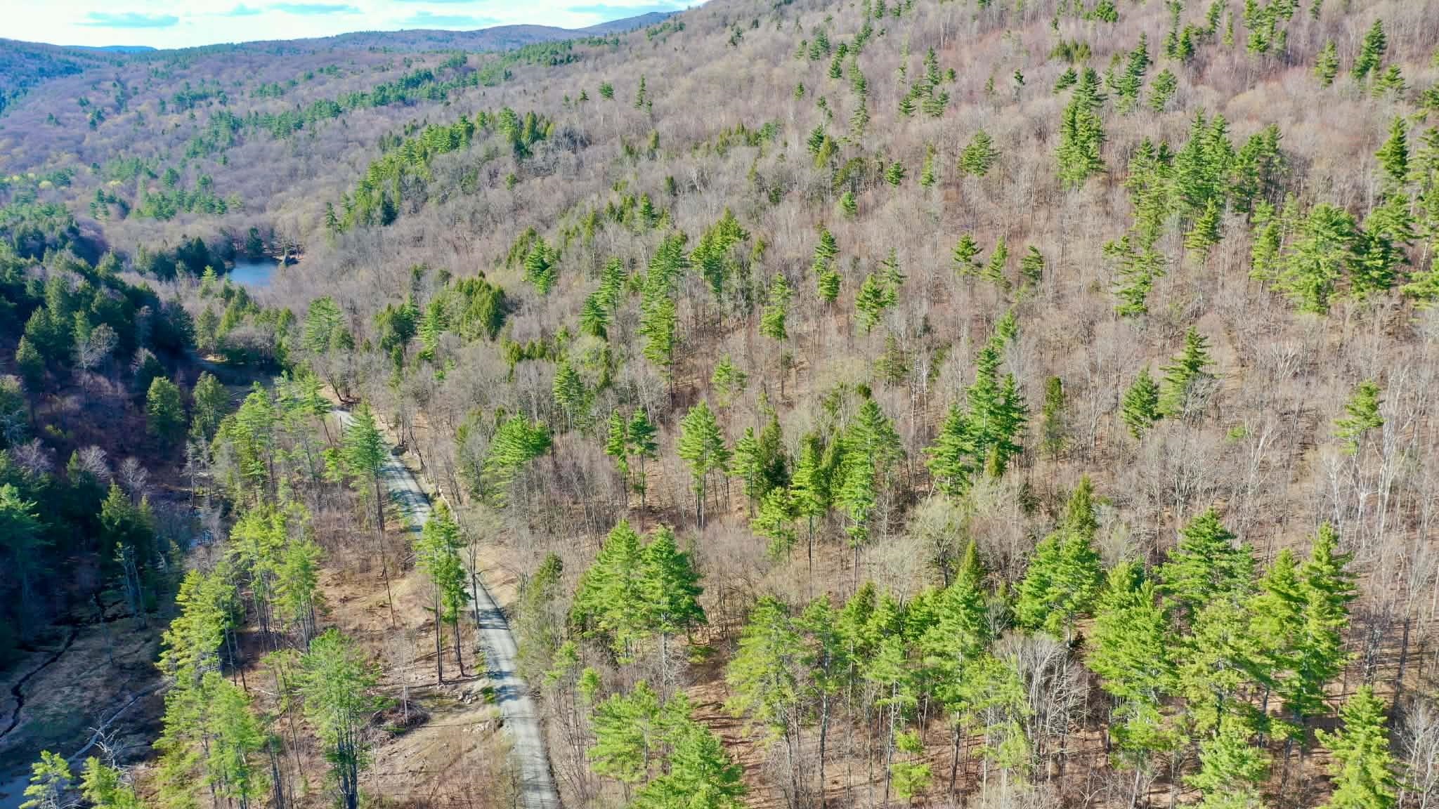 00 Turkey Mountain Road Property Photo 5