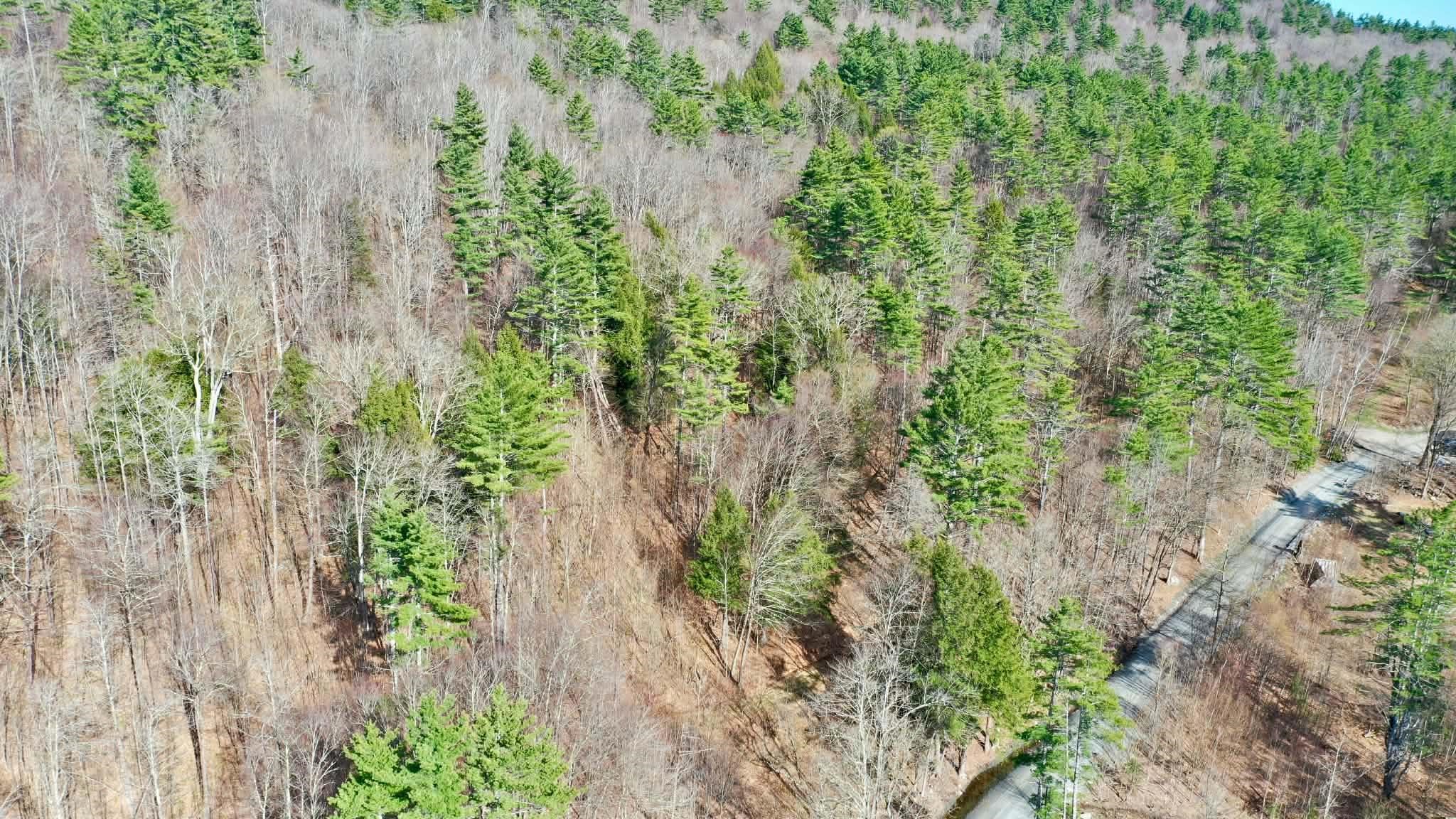00 Turkey Mountain Road Property Photo 6