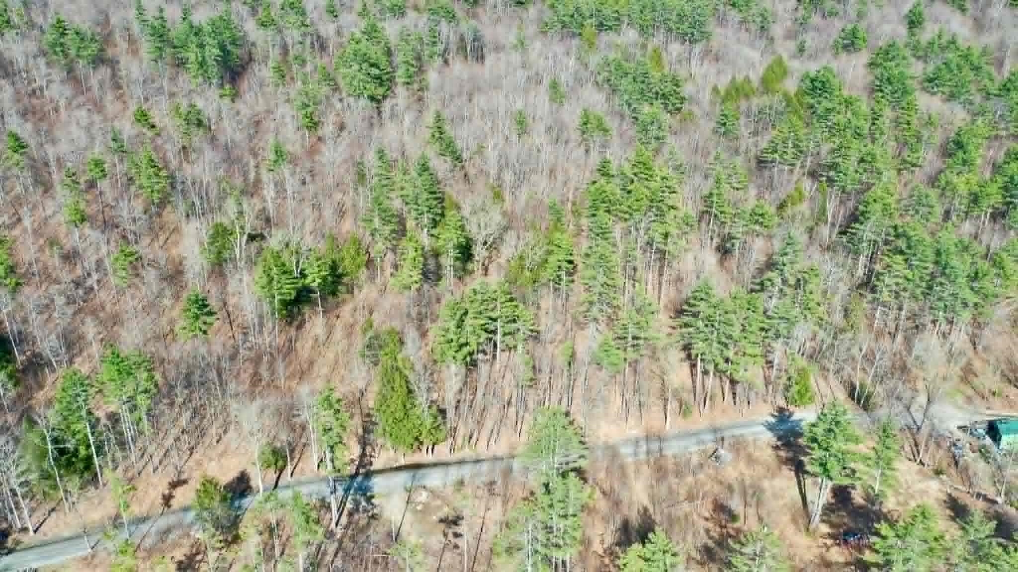 00 Turkey Mountain Road Property Photo 7