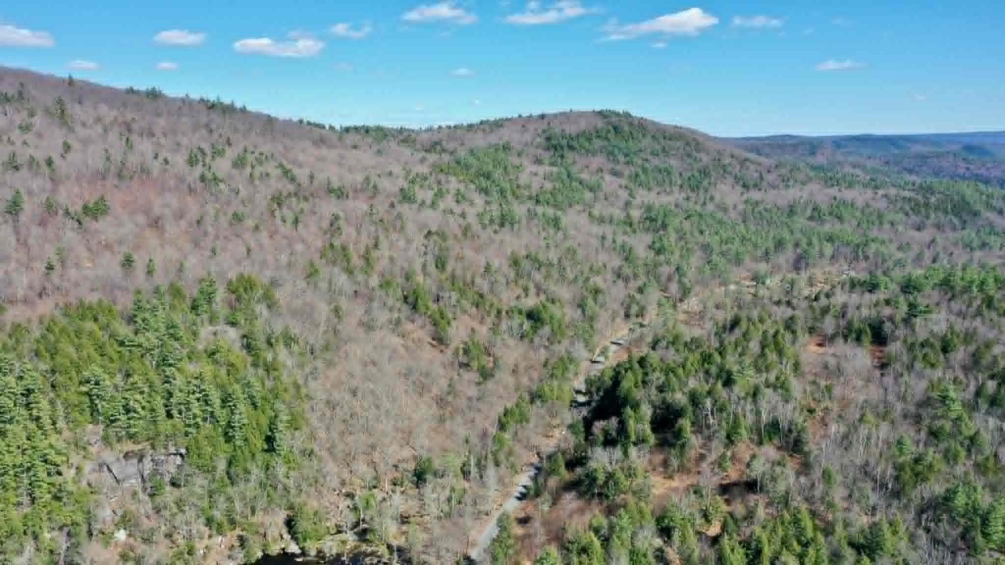 00 Turkey Mountain Road Property Photo 8