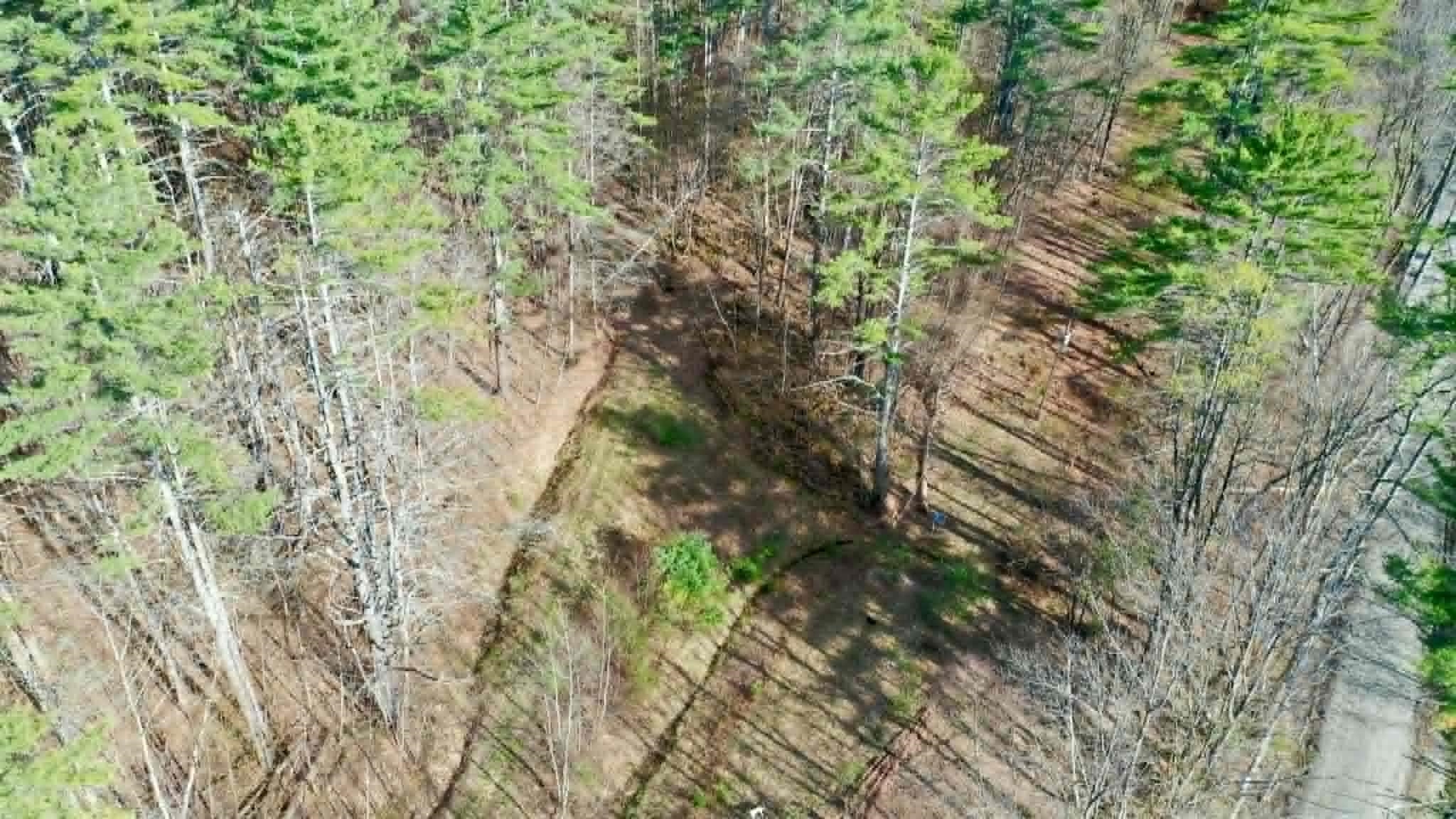 00 Turkey Mountain Road Property Photo 11