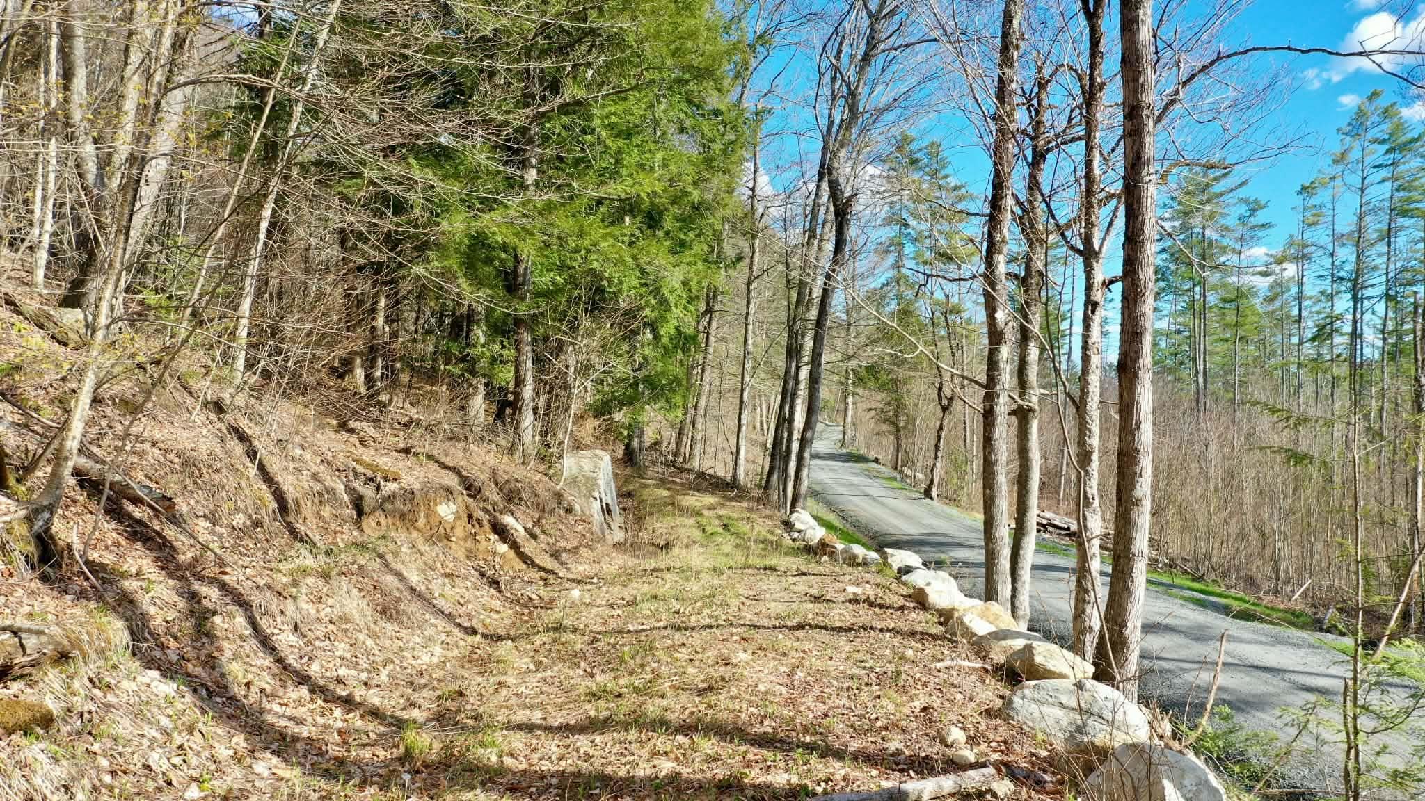 00 Turkey Mountain Road Property Photo 13