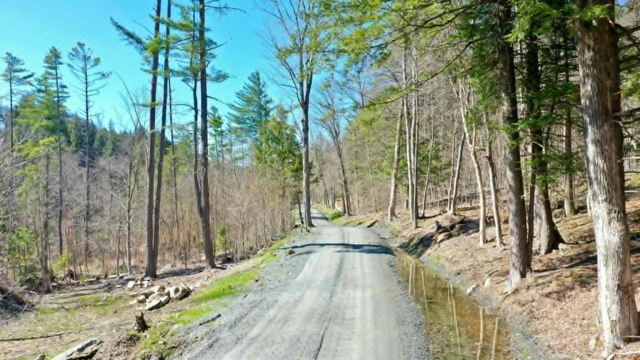 00 Turkey Mountain Road Property Photo 14